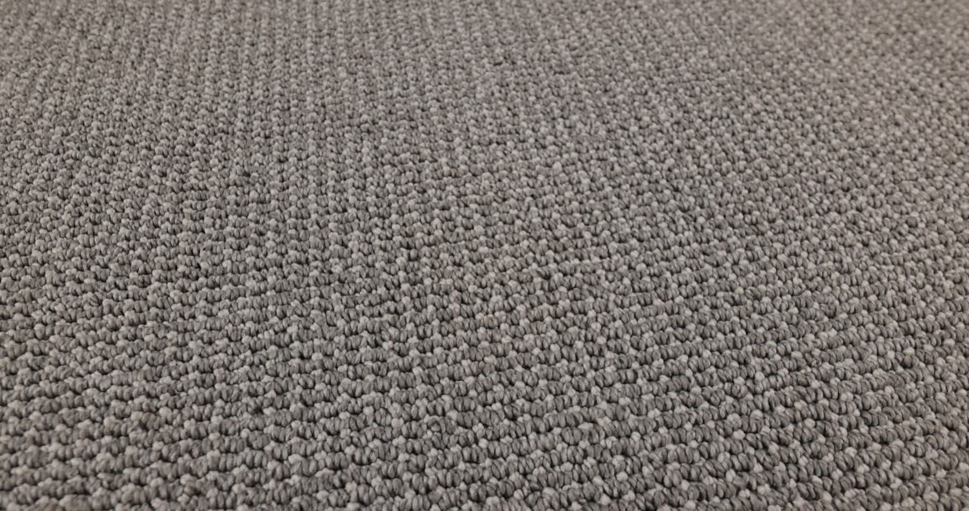 PURRFECTION PLATINUM 360PROD