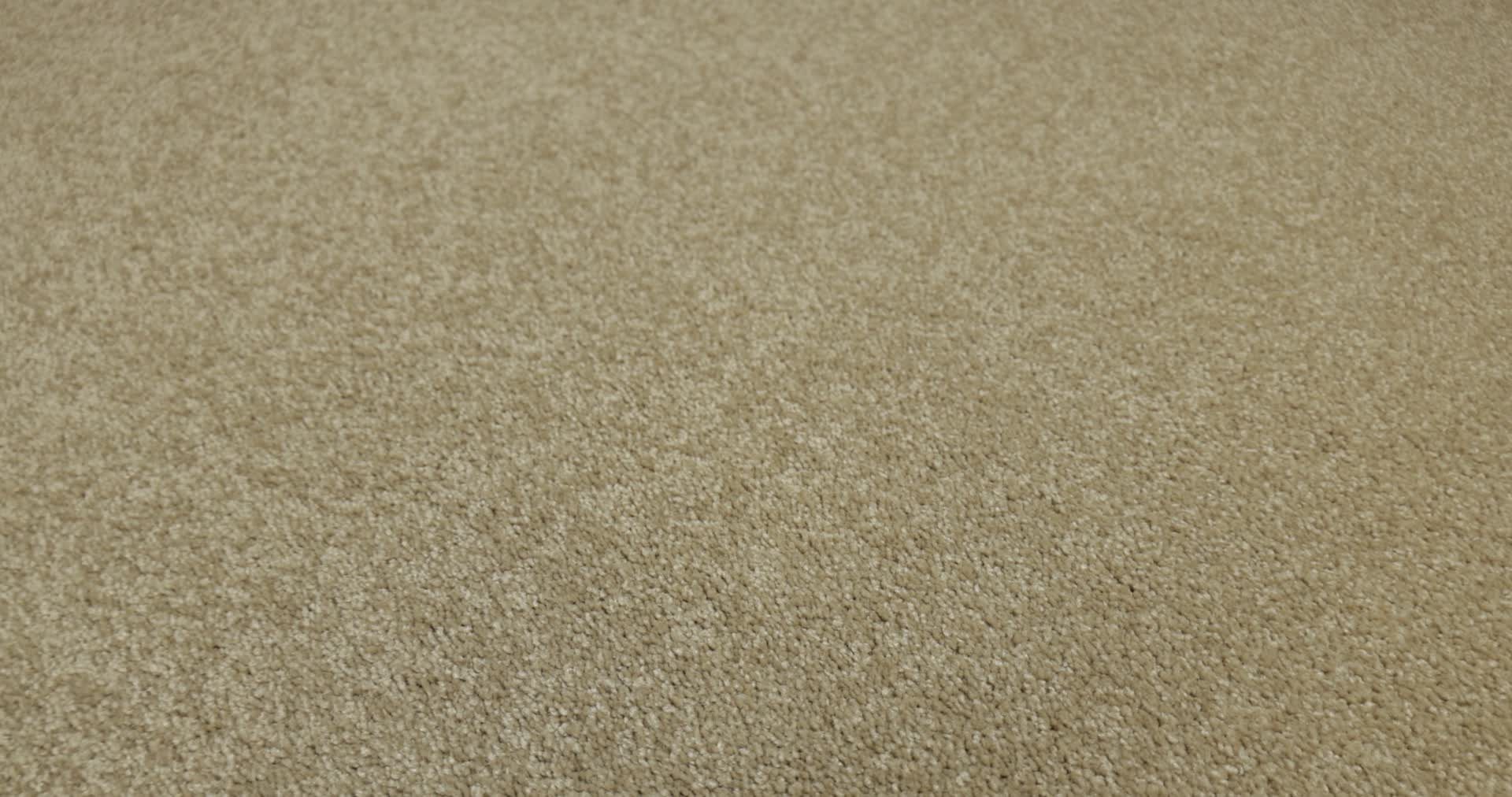 CANYON LAKE DOGWOOD 360PROD