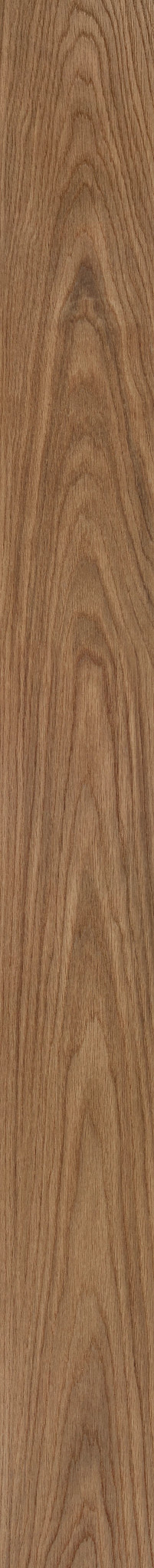 CANYON OAK 1TO1