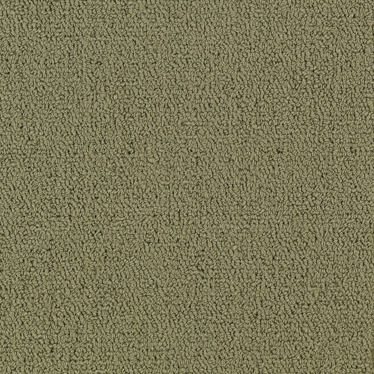 COLOR-ACCENTS-BL-54584-GLASS-62330-main-image