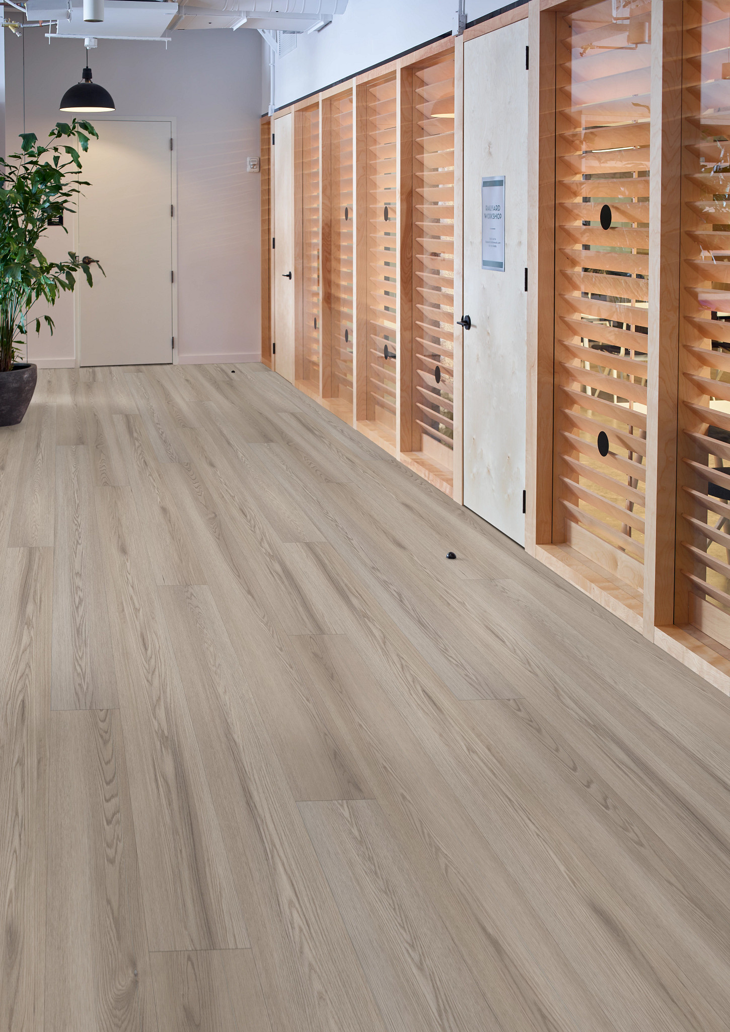 PHILOSOPHER'S-TREE-5599V-WEATHERED-BARK-00107-room-image