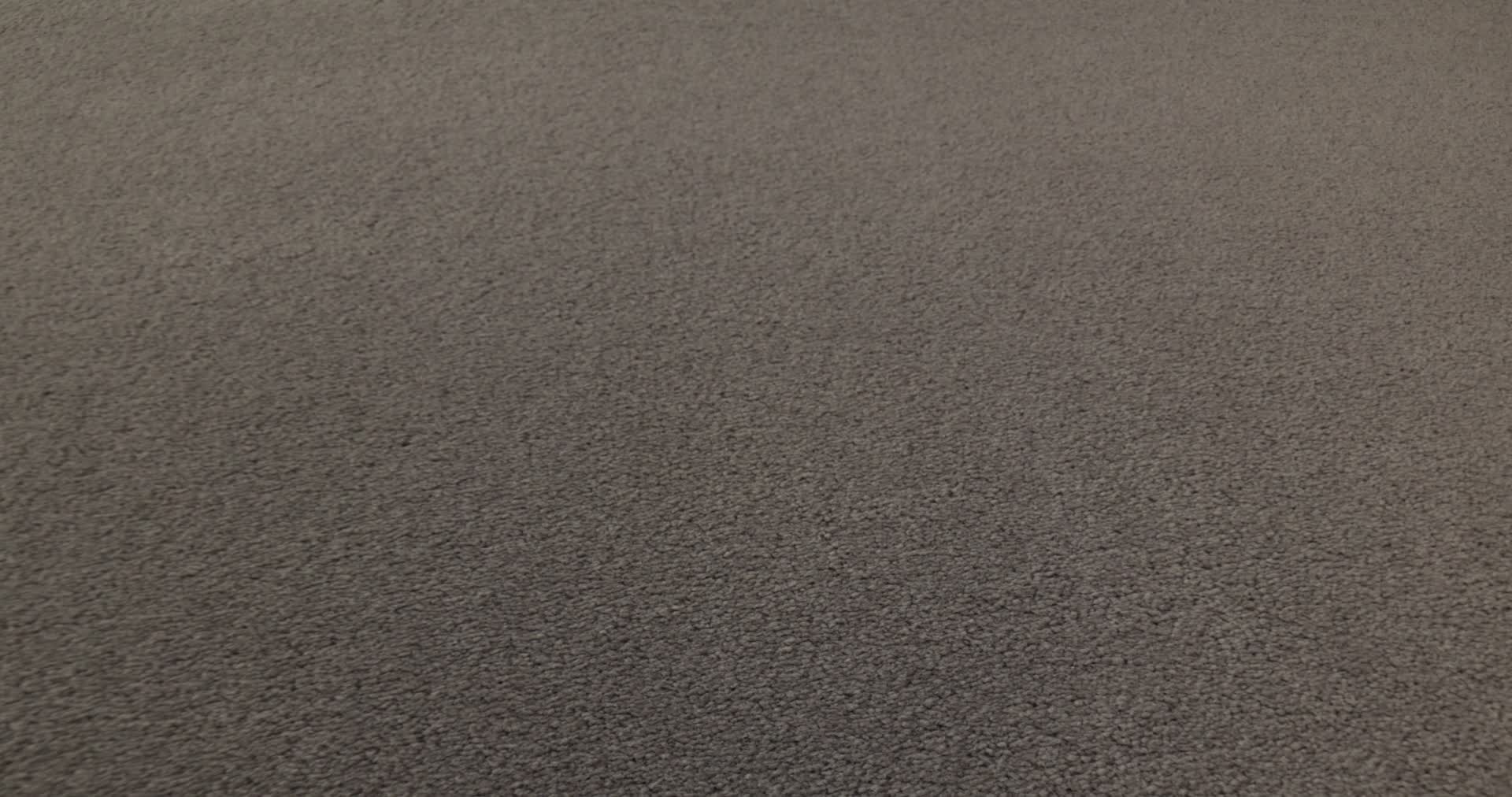 FINERY TORTOISE 360PROD