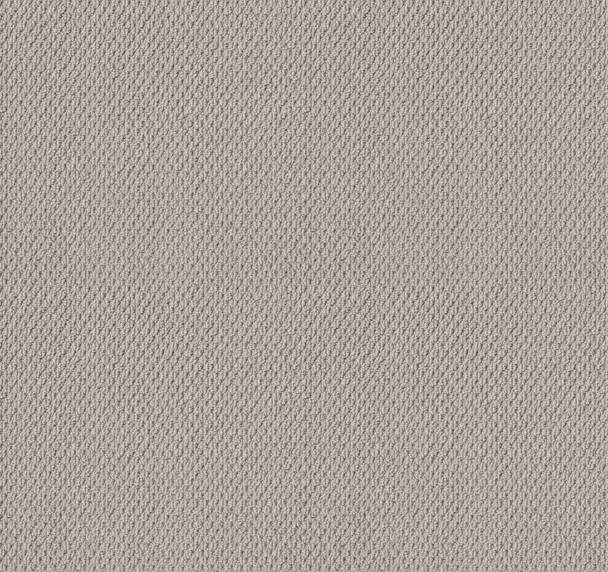 FAINT INTENT SILVER LINING MAIN