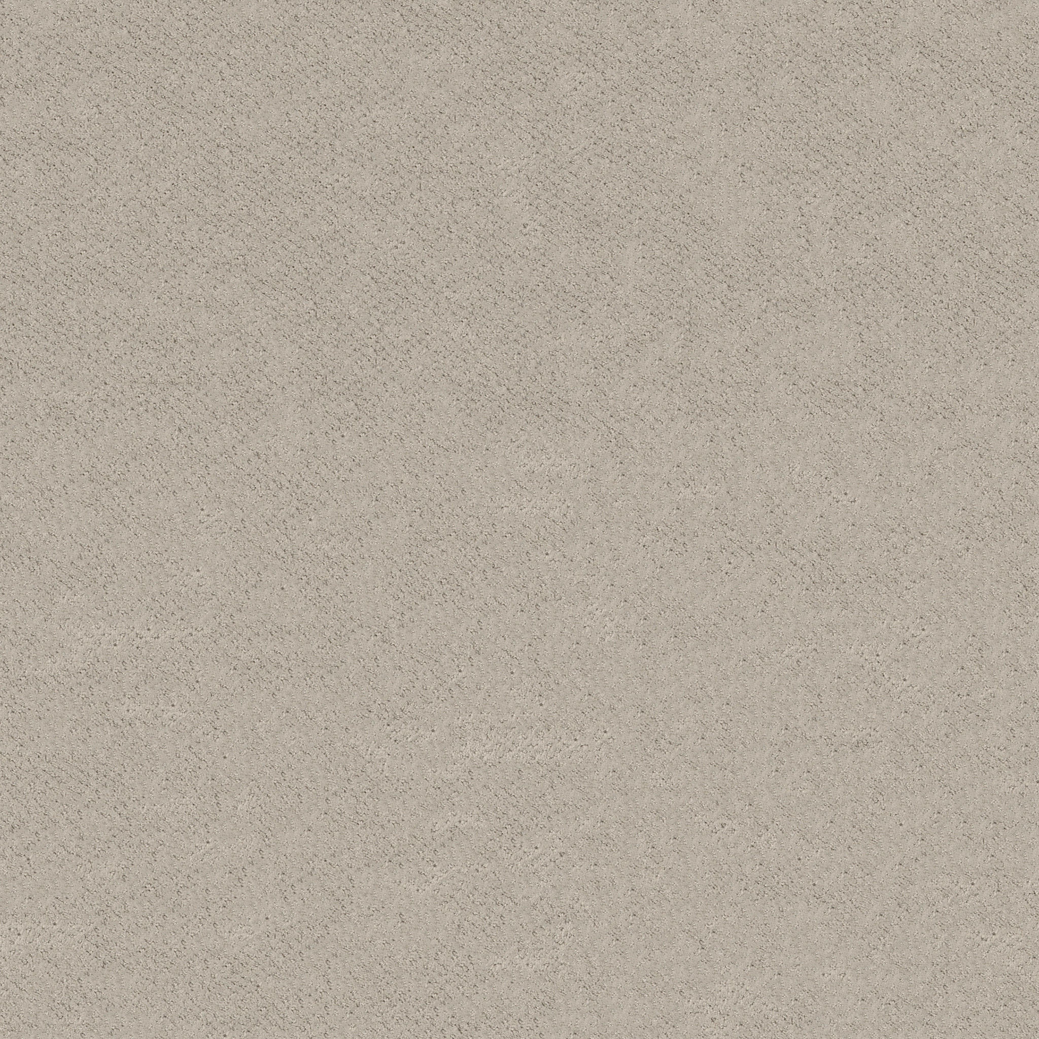 MAINSTAY FOSSIL PATH MAIN