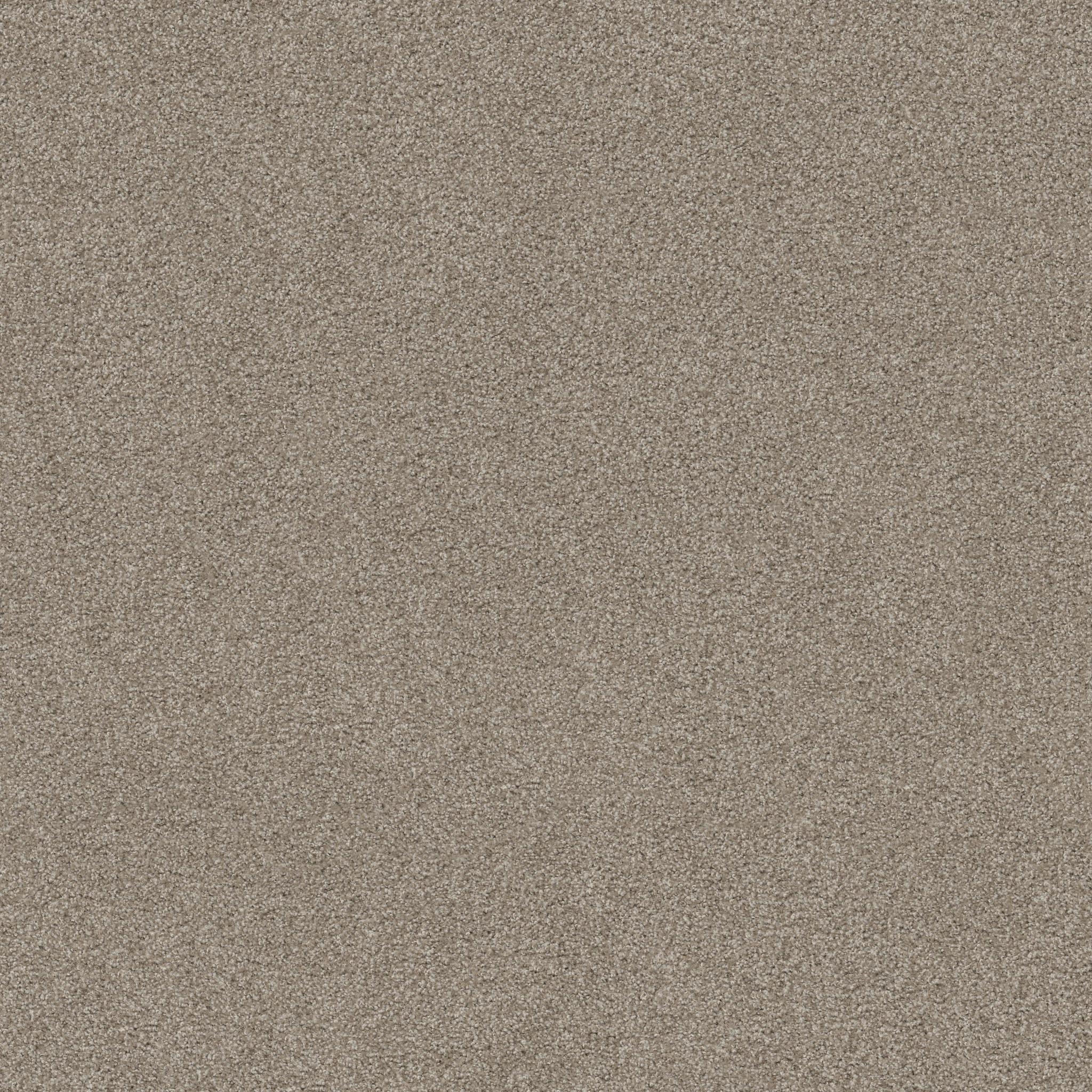 LOOK FORWARD COCOA MAIN