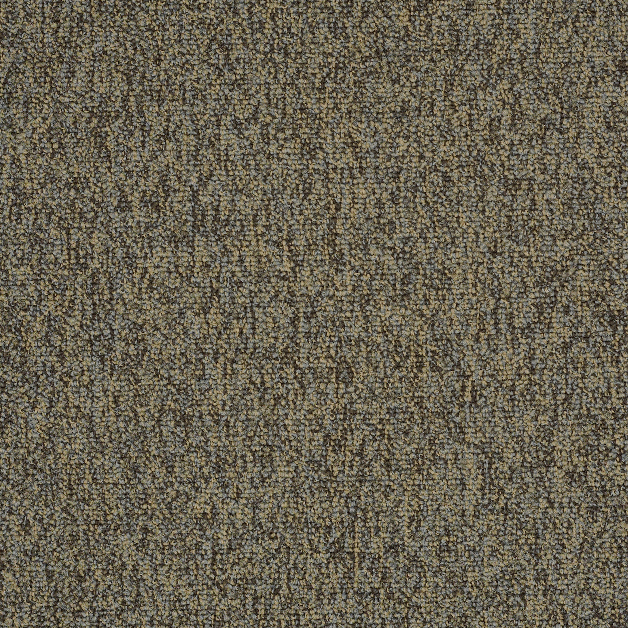 MULTIPLICITY-54593-OODLES-00700-main-image