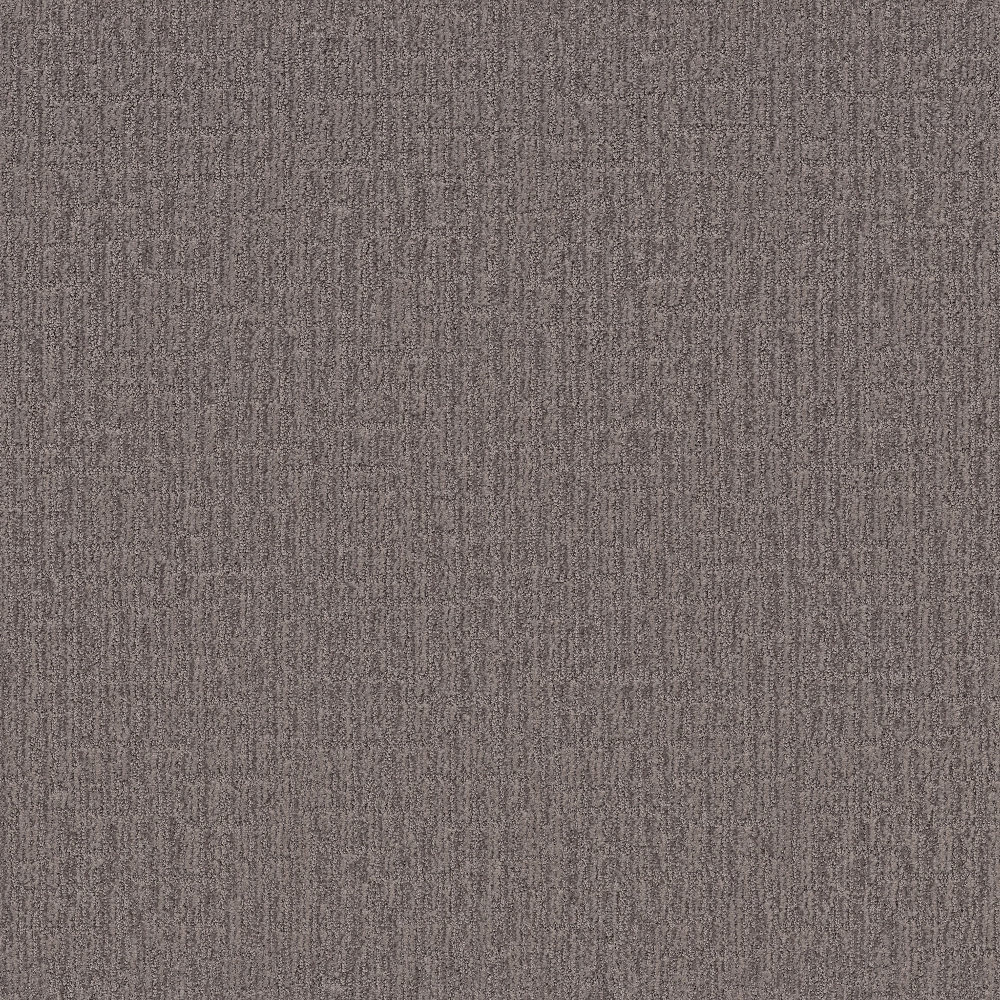 WANDERER PORTLAND MAIN