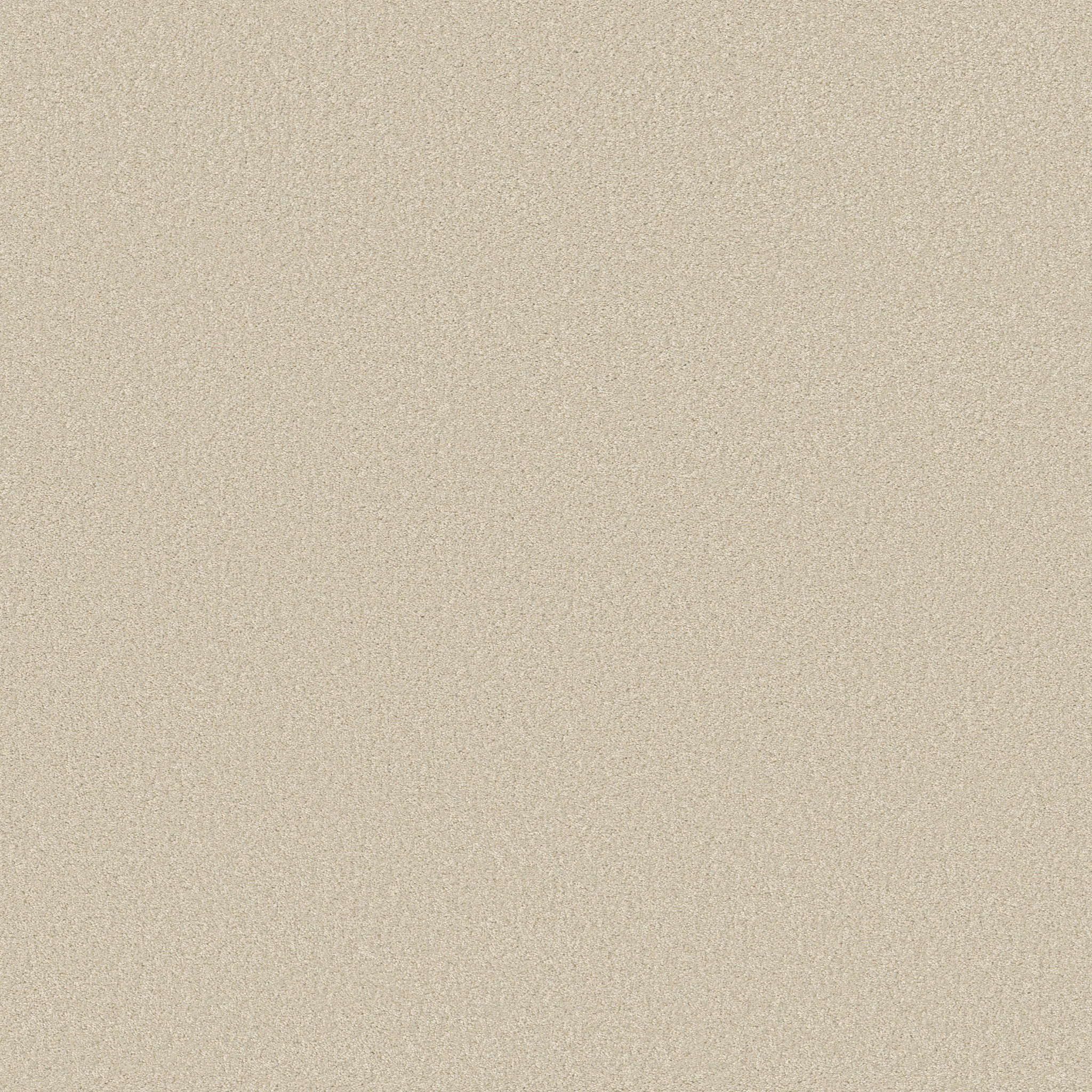 AG EXCEPTIONAL BEIGE TEASE MAIN