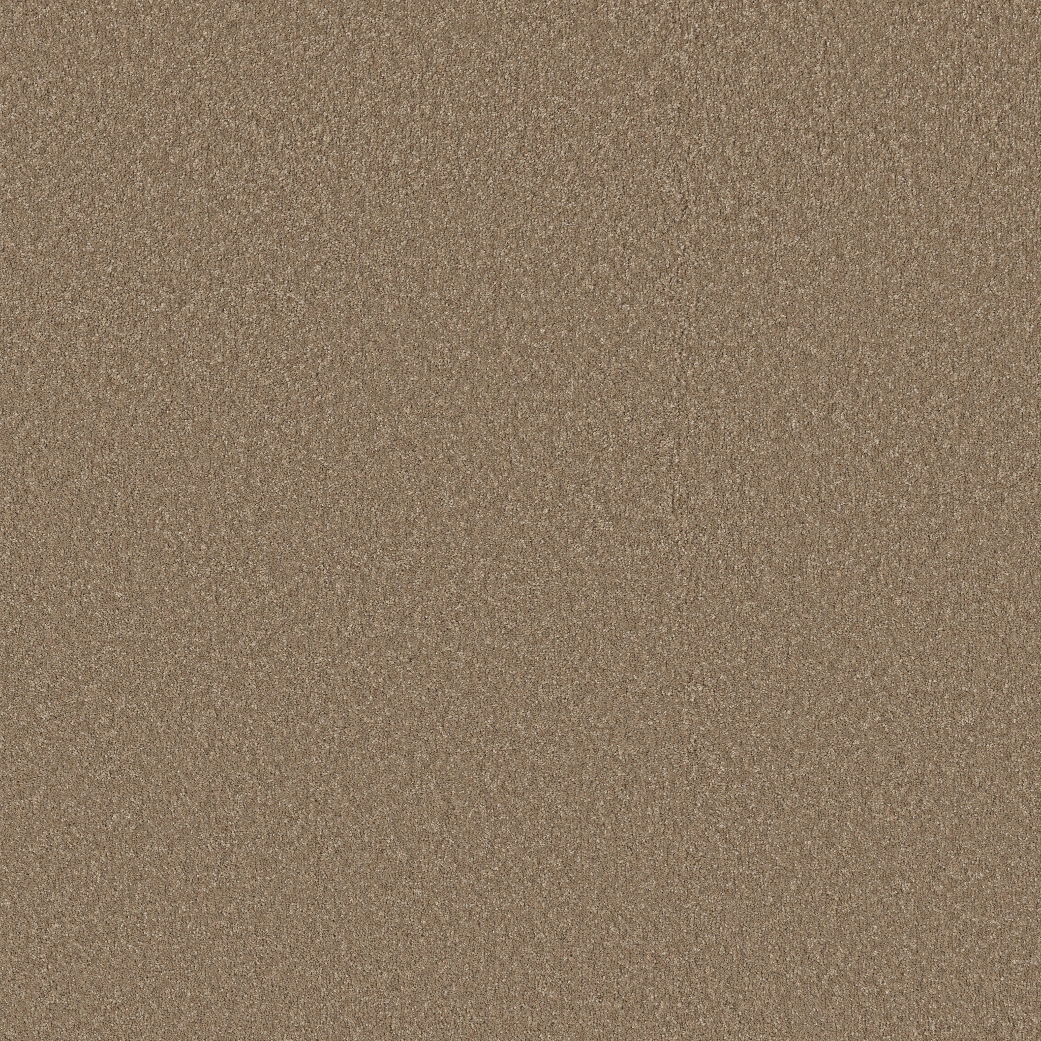 WAY TO GO II POLO TAN MAIN