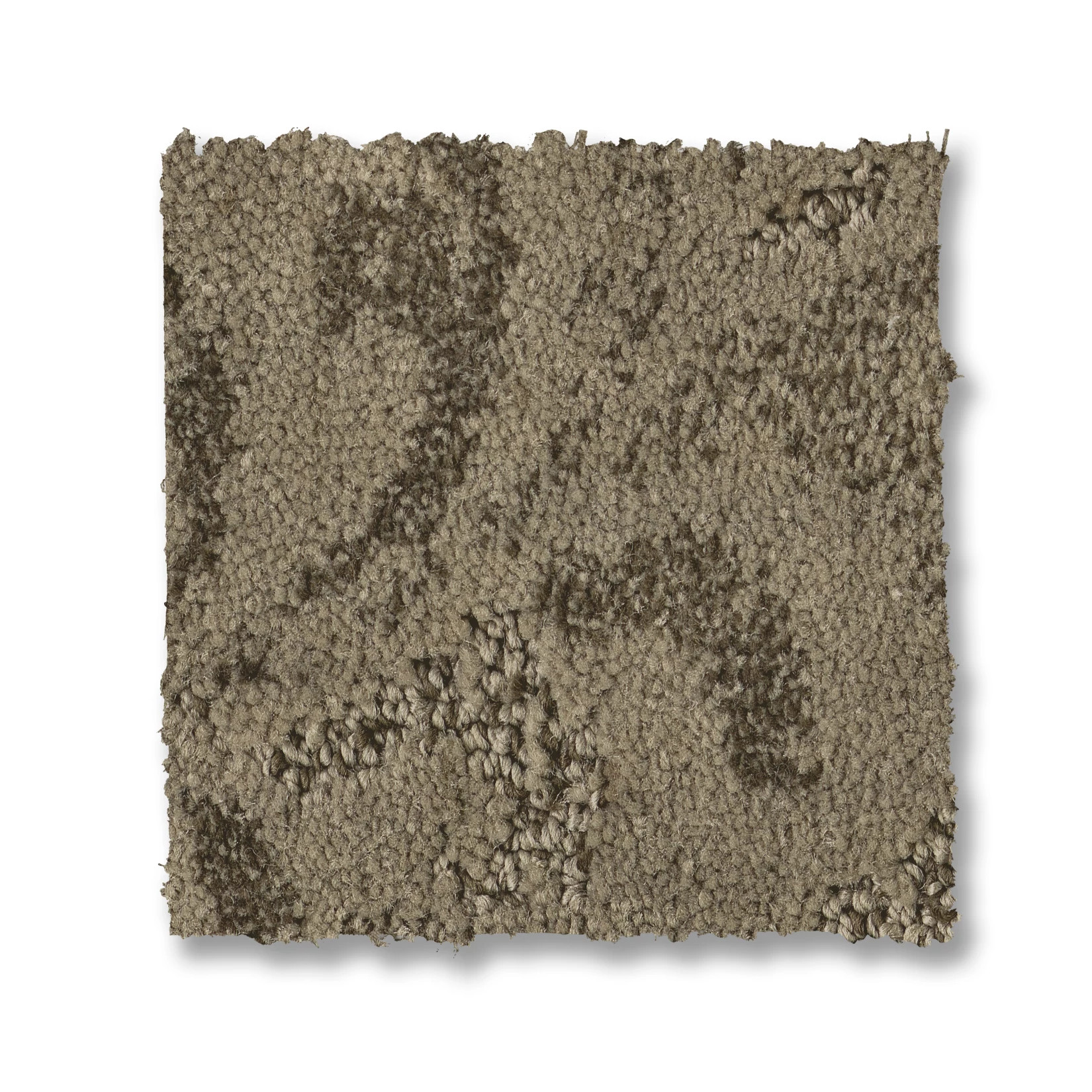 CHARISMATIC BONSAI SWATCH