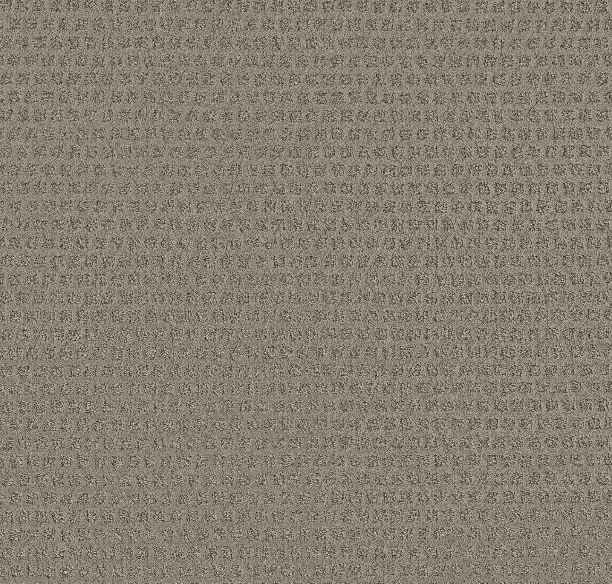 THE ARTS LADY IN GREY MAIN