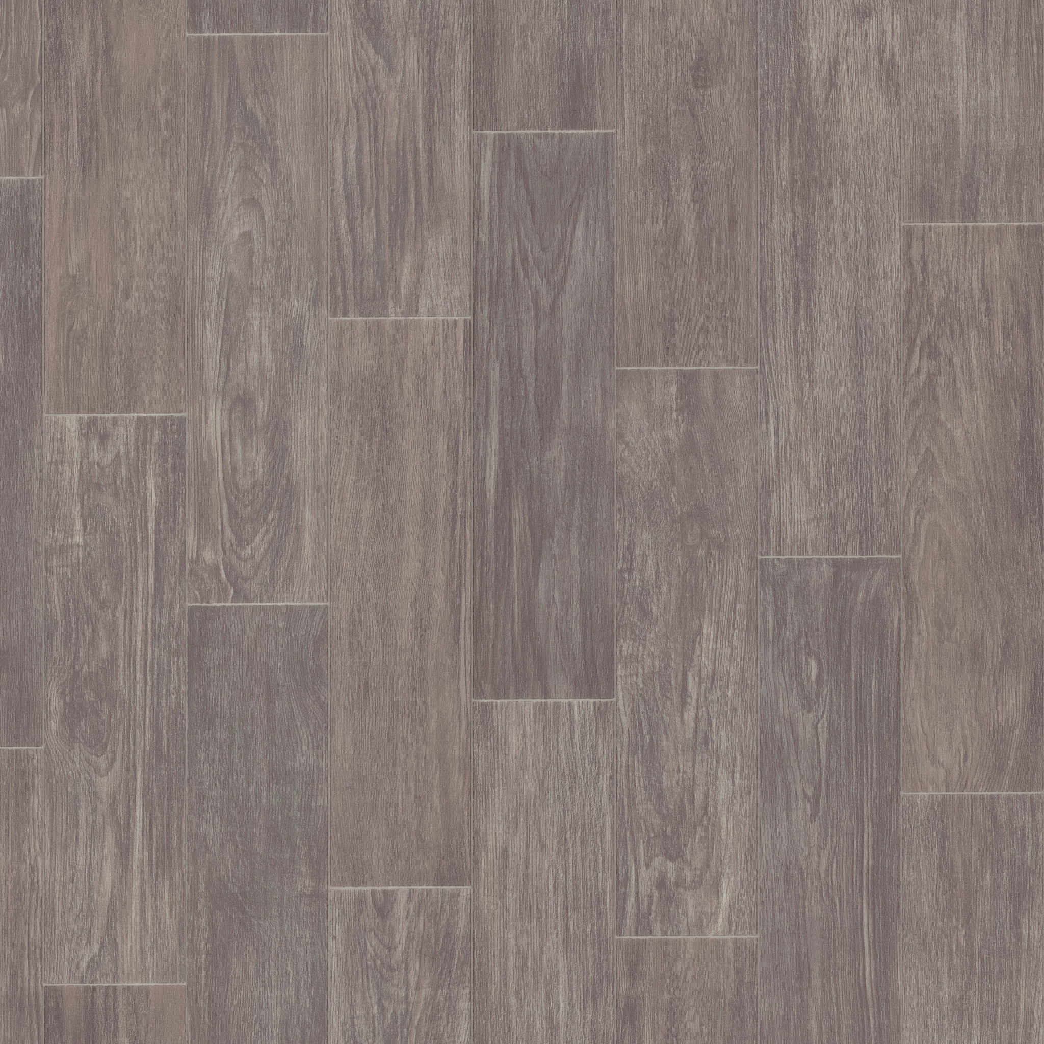 SERENDIPITY LEO MAIN