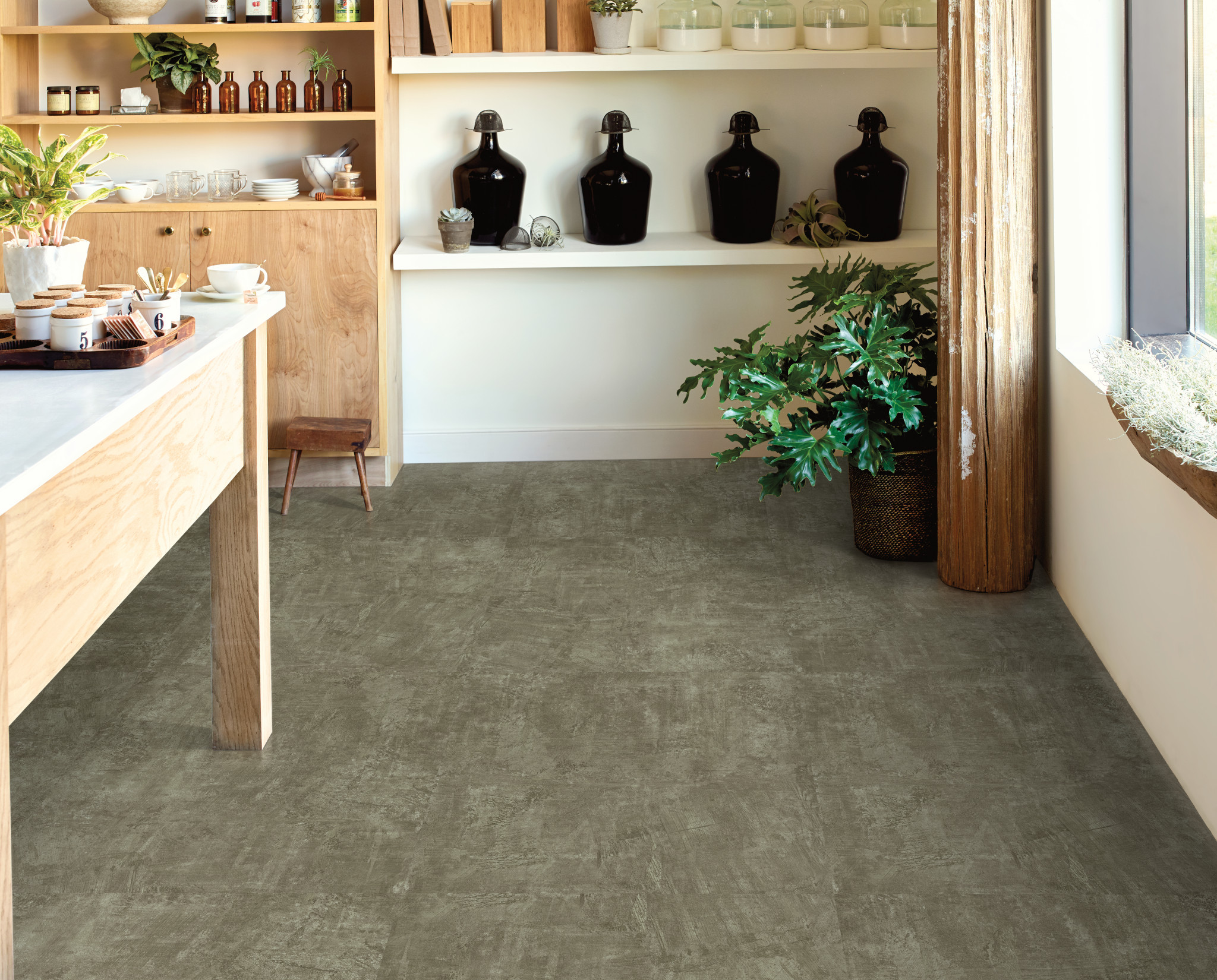 ALCHEMIST 5598V NURTURE 00300 room image