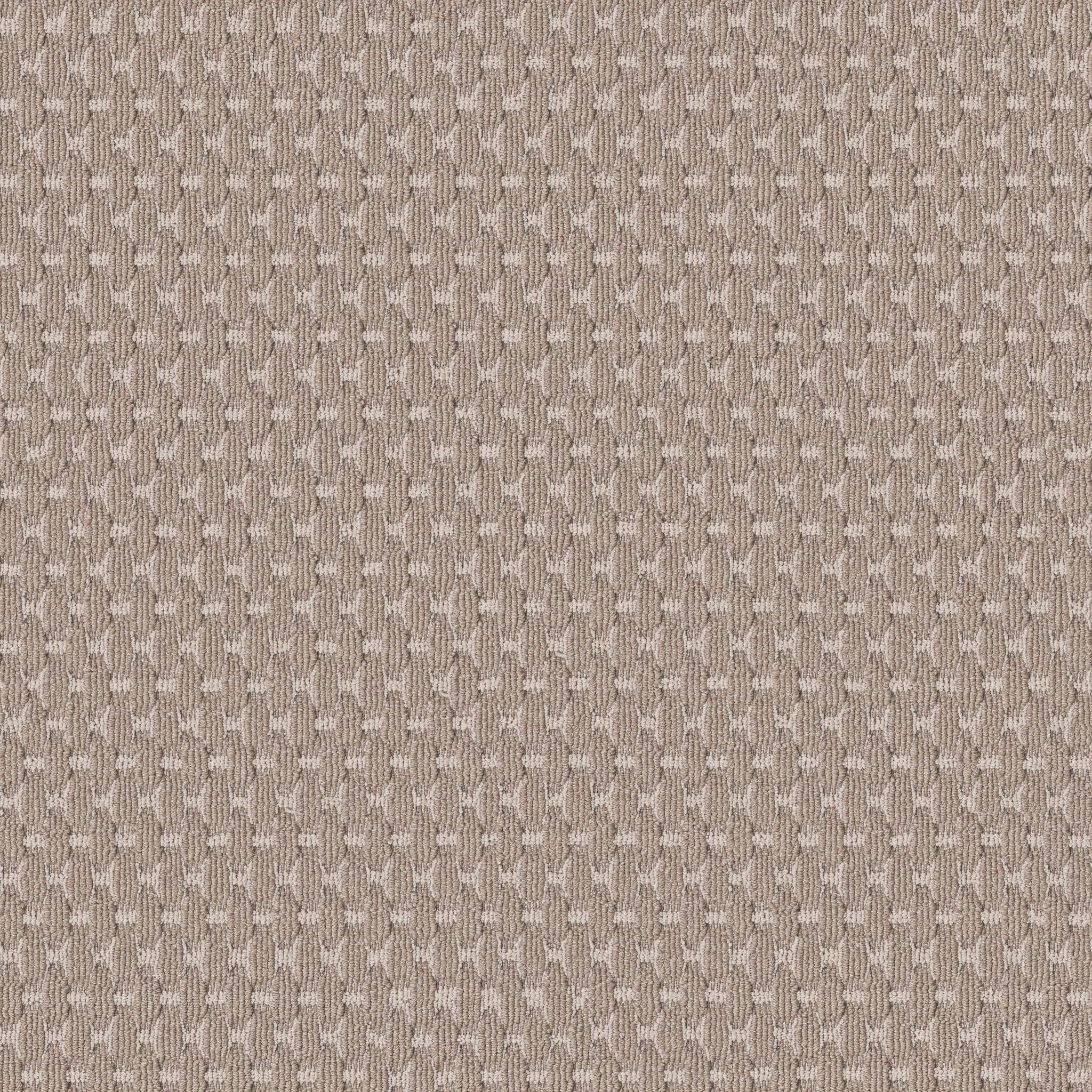 HAVENCREST BLOSSOM MAIN