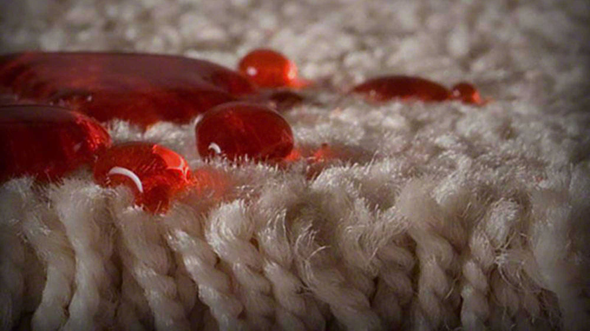 Close-up on drops on carpet fibers