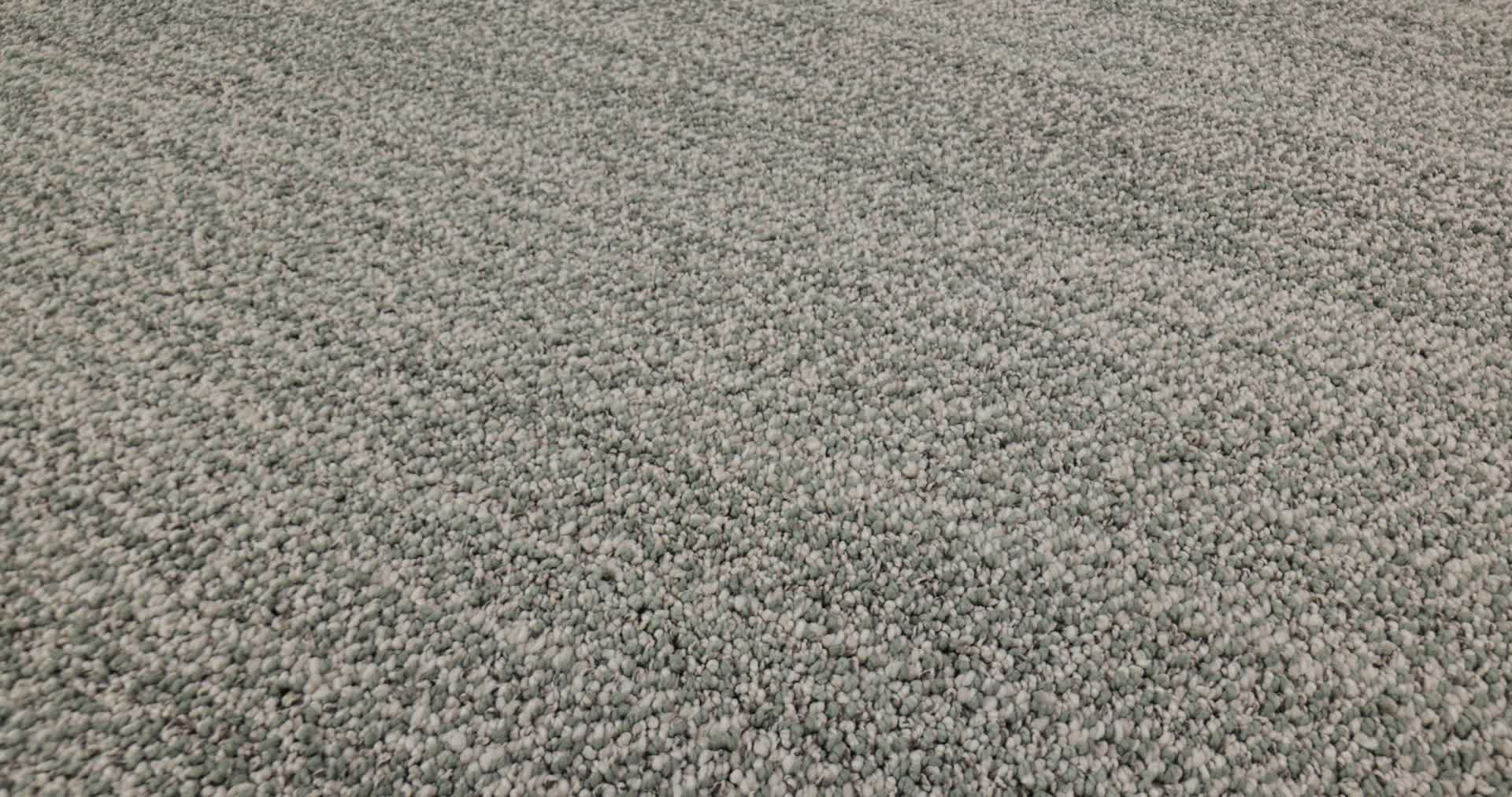 IN TEMPO MOSS 360PROD