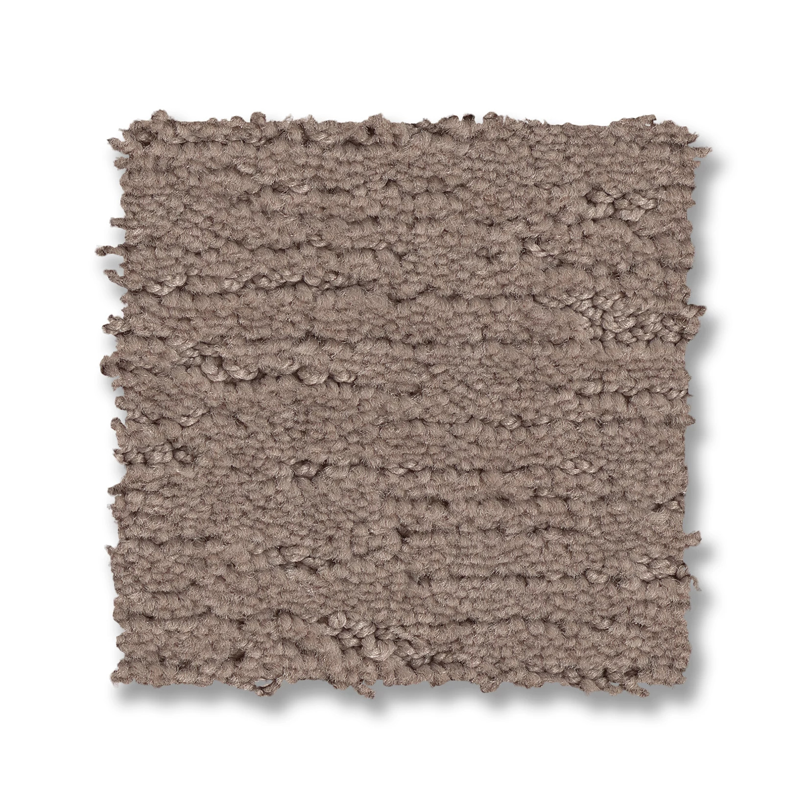 SKETCH SOCIALITE SWATCH