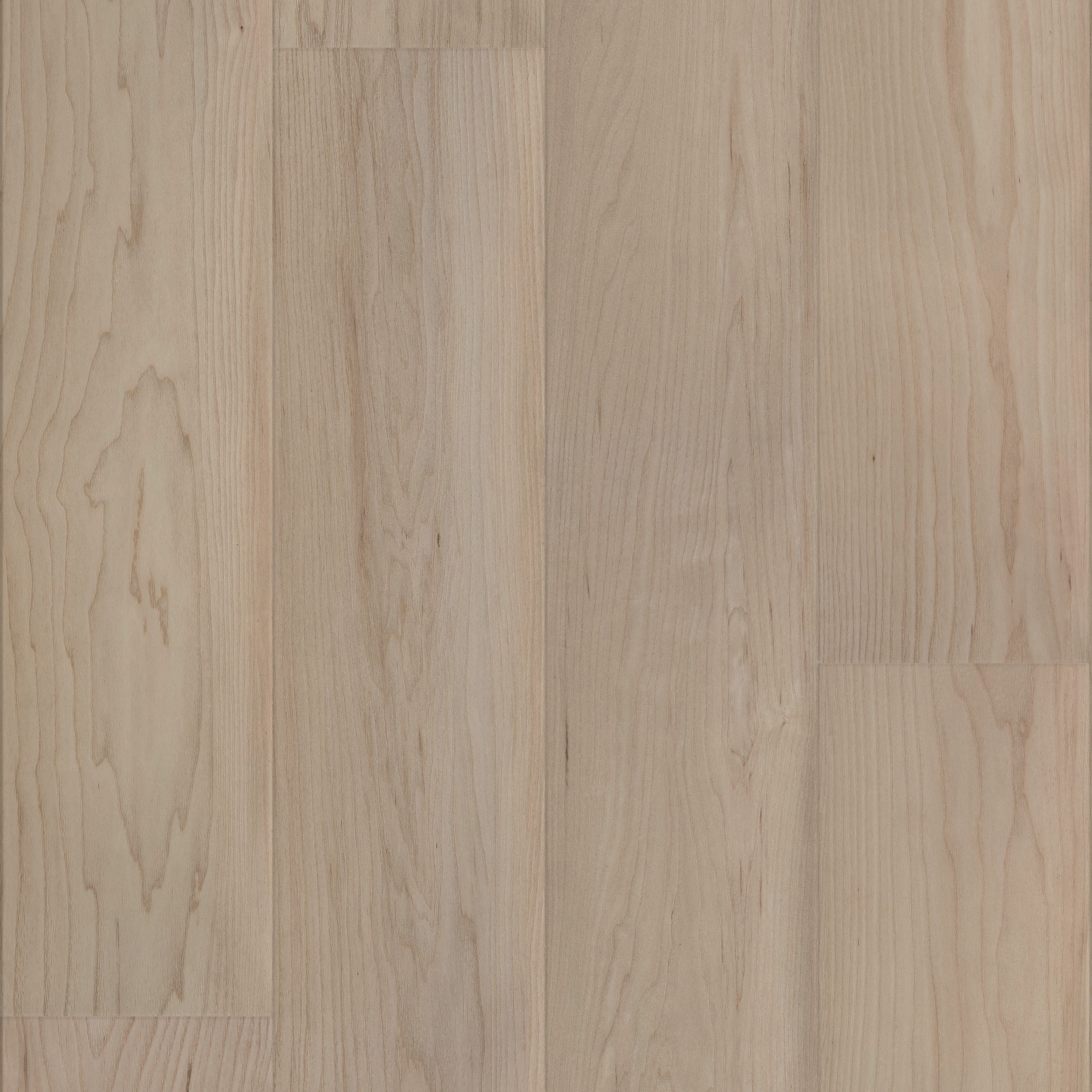 COASTAL LUXE COASTAL DUNE MAPLE MAIN