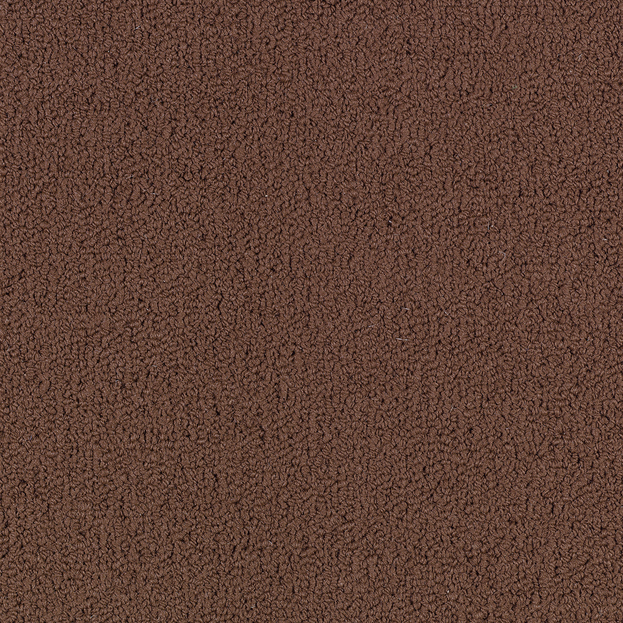 COLOR-ACCENTS-BL-54584-CHOCOLATE-62713-main-image