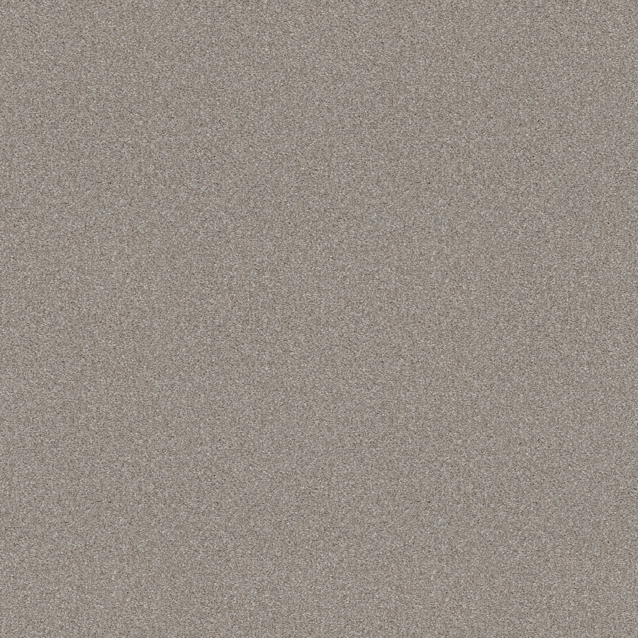 ATTAINABLE SOFT FLEECE MAIN