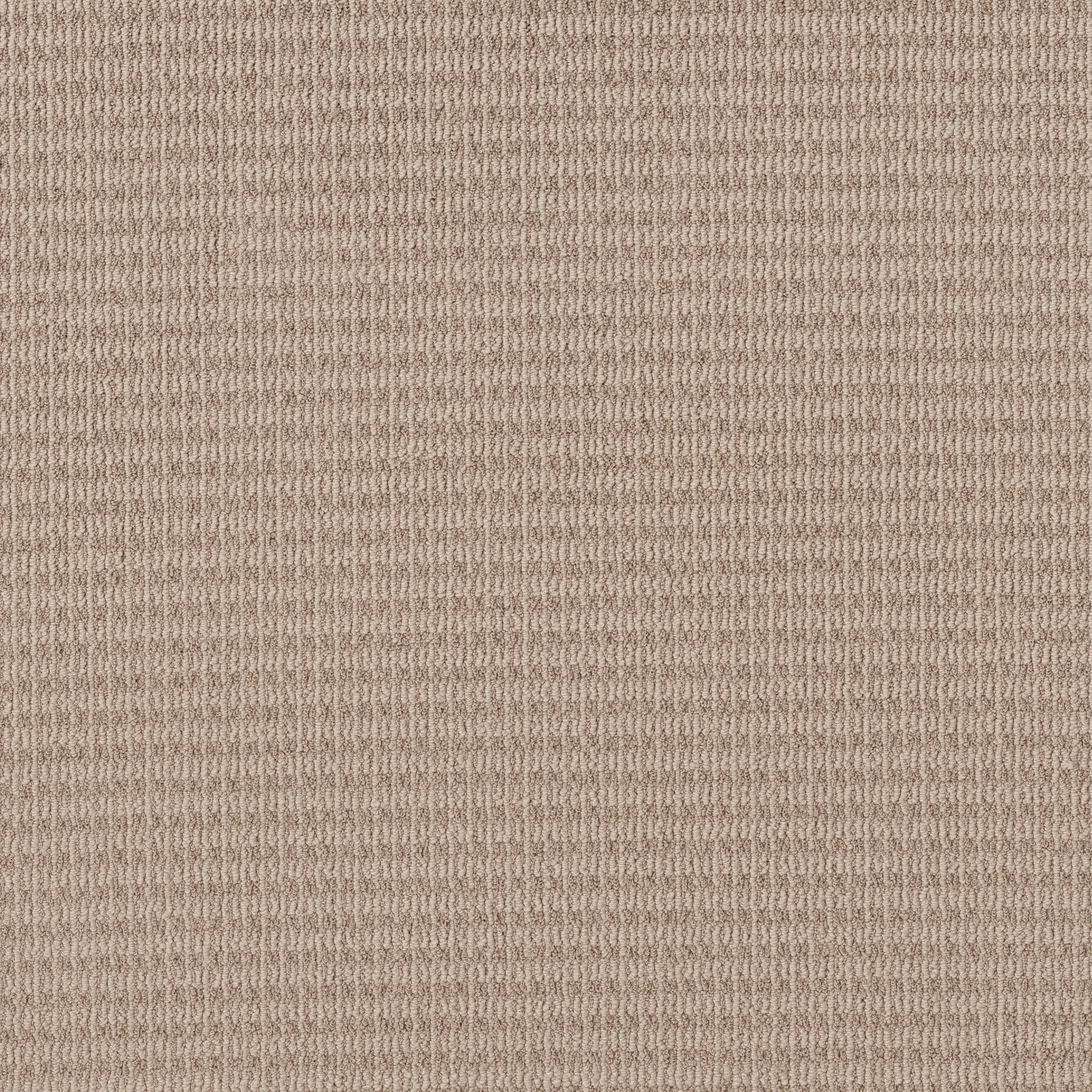 CHIC ELEVATION SUN KISSED MAIN