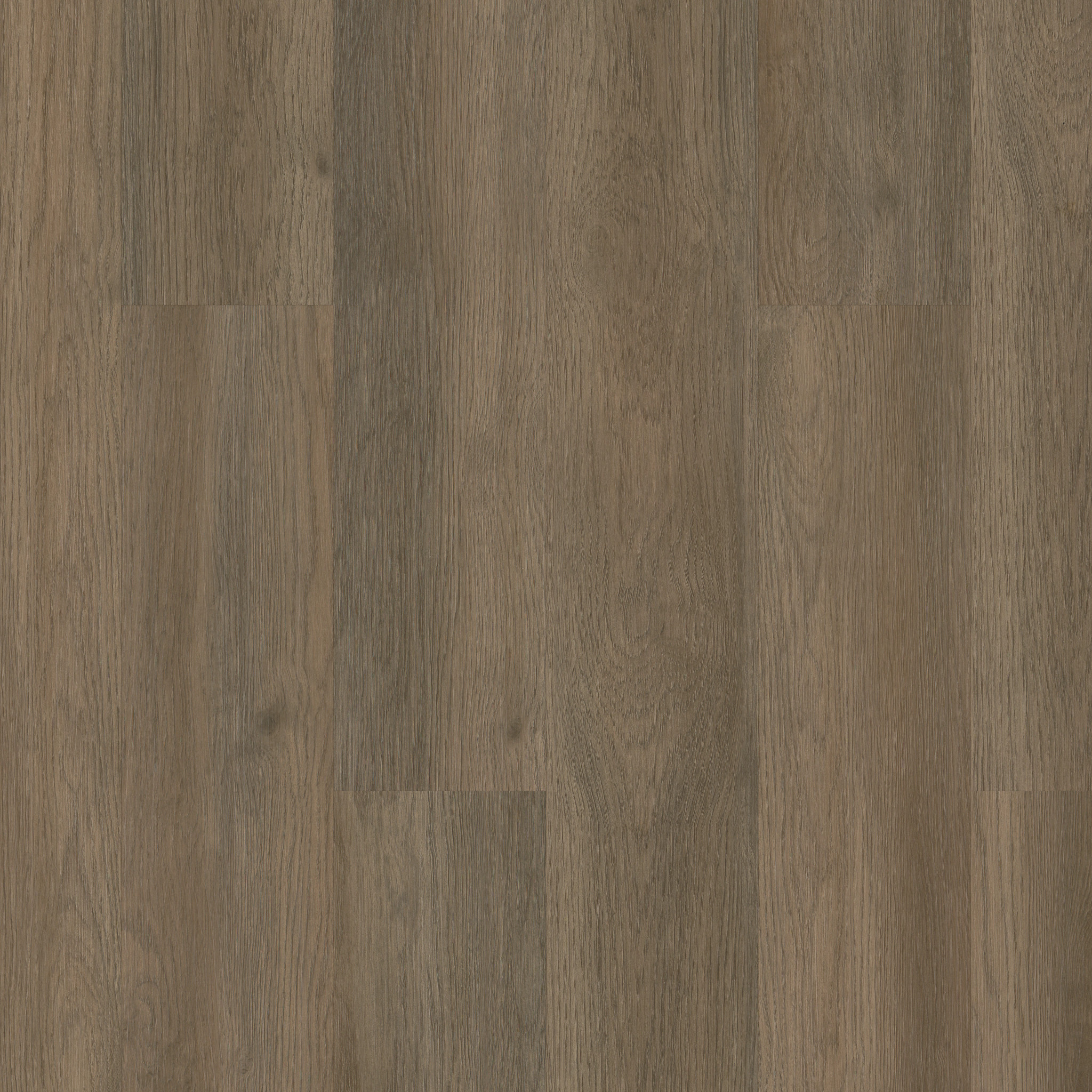 トランプ VIRTUOSO 2014 SPRING/SUMMER Infinite 20 - in Raconteur | Shaw Floors