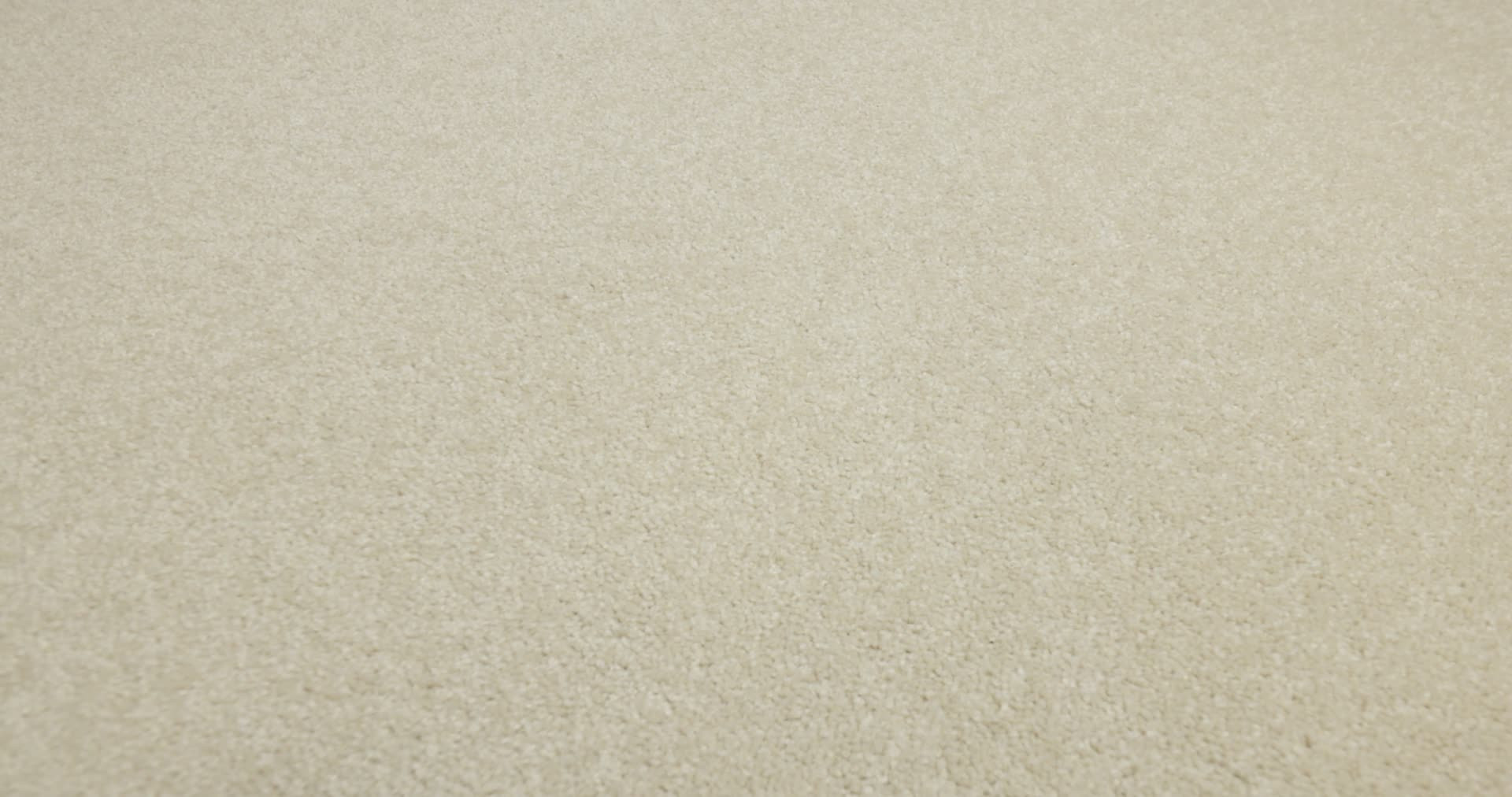 TIMELESS APPEAL I 12' MUSHROOM 360PROD