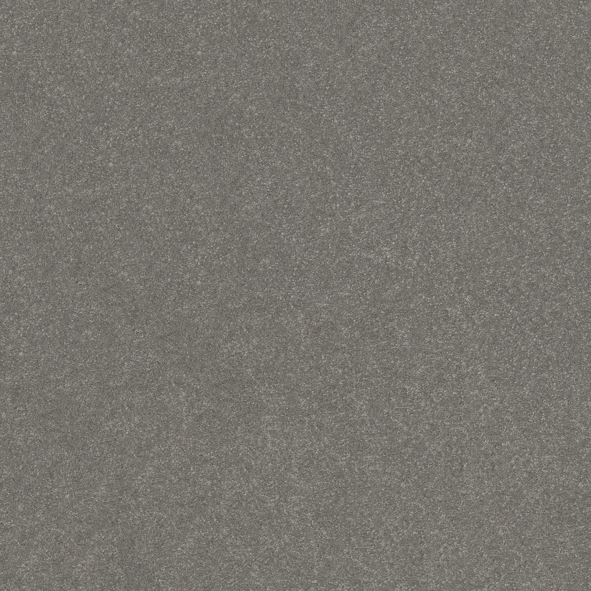 HARD AT PLAY I 15' SHY SAGE MAIN