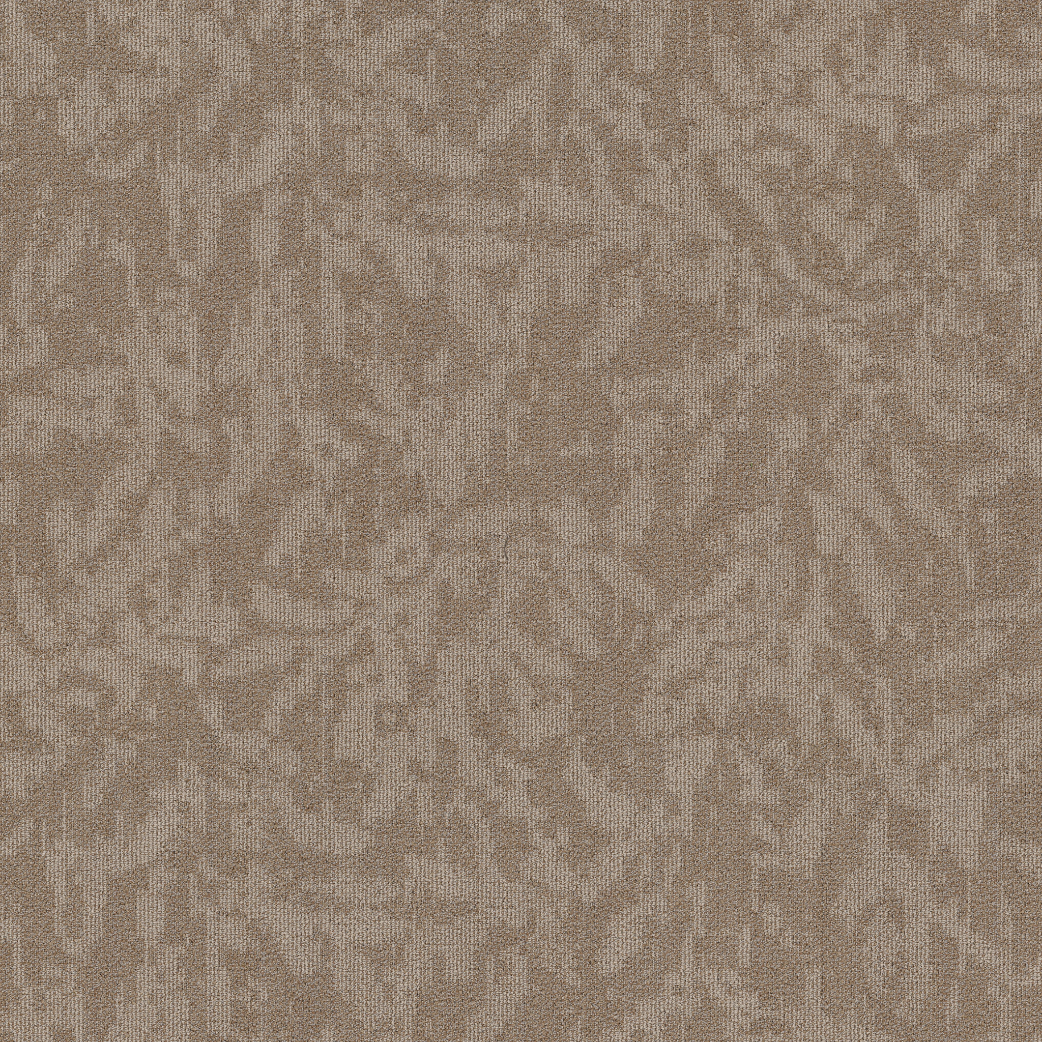 MODERN-HEIRLOOM-BROADLOOM-55014-WINDSOR-TAN-00208-main-image