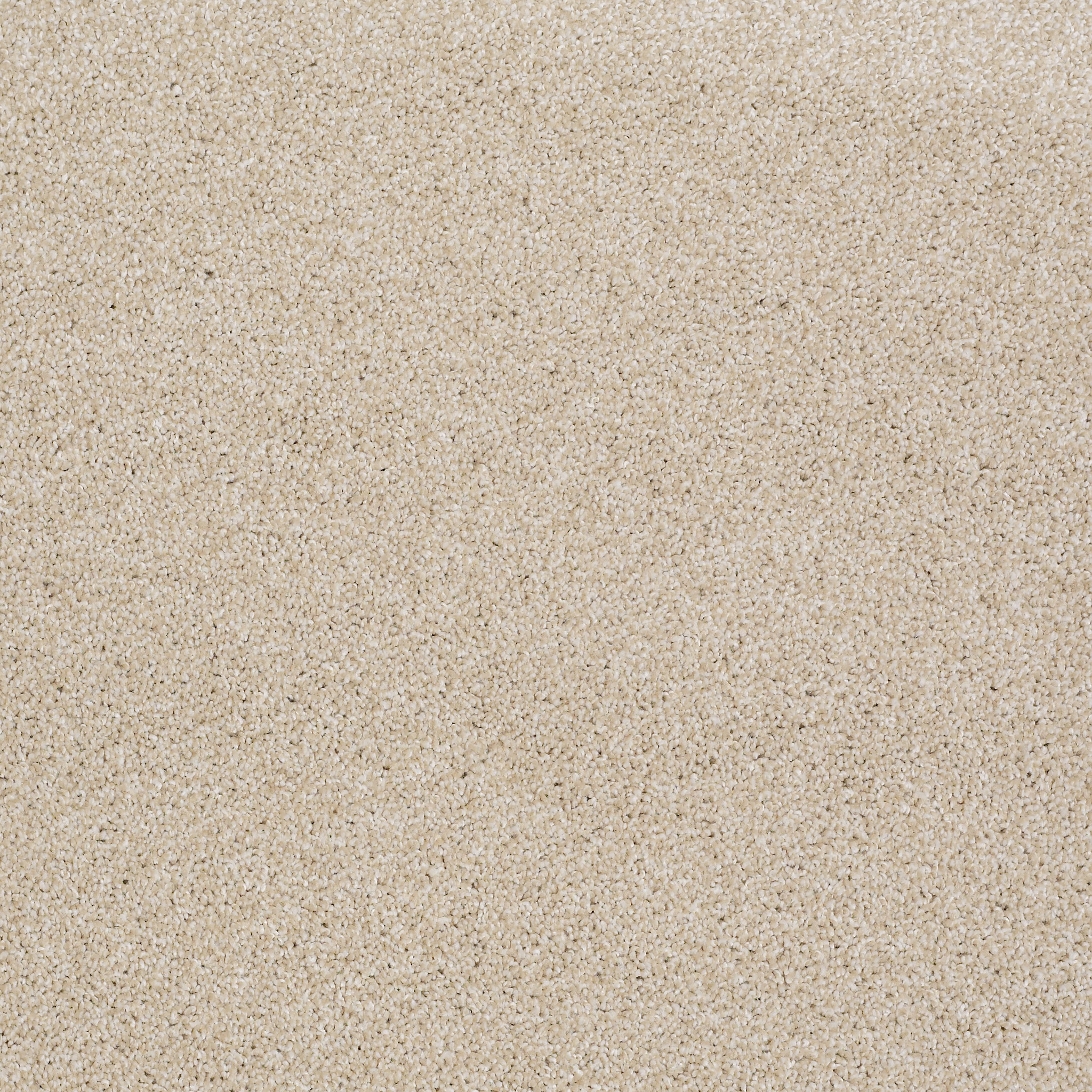 ALWAYS READY II BOUTIQUE MAIN