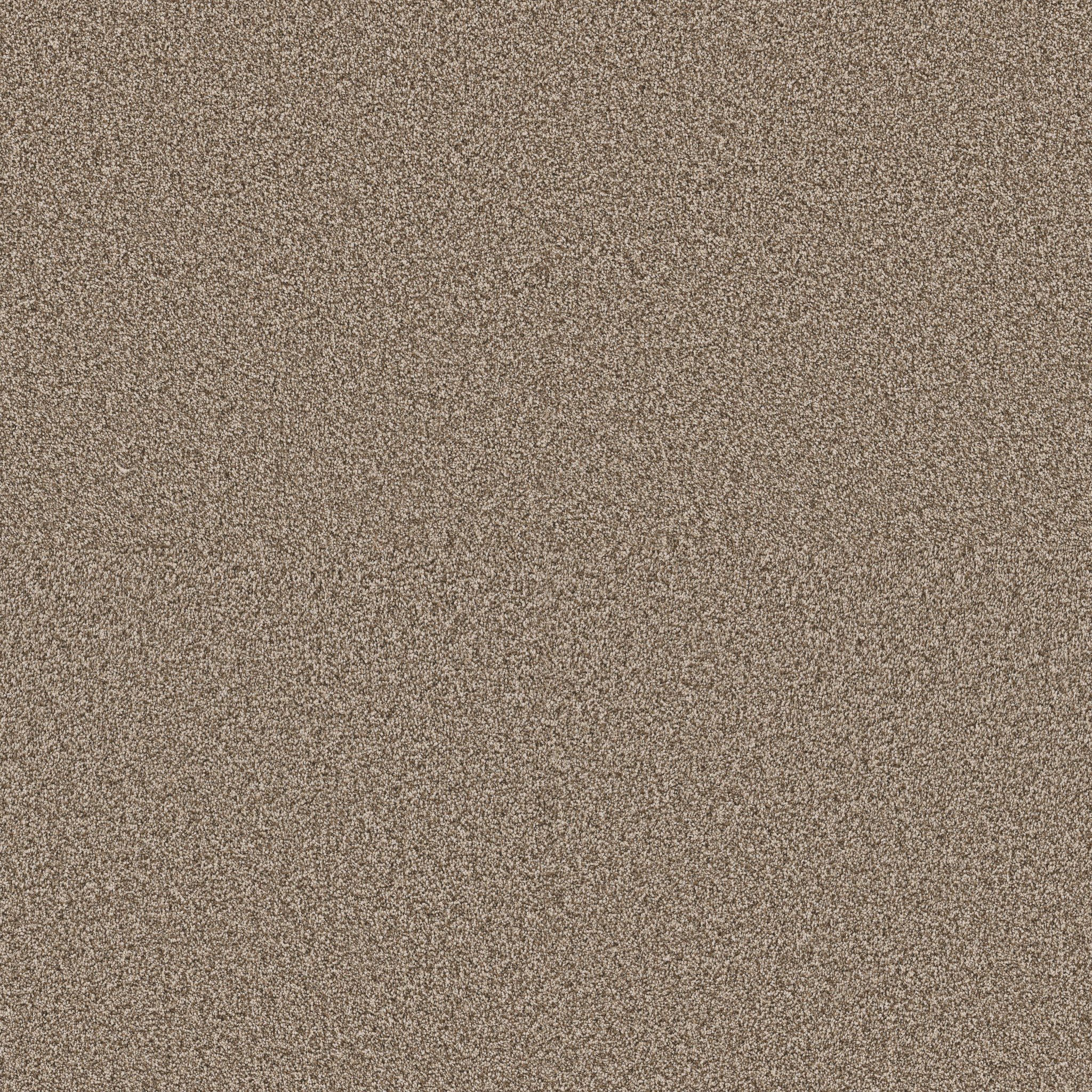 ARTISTIC FUSION II CAMEO MAIN