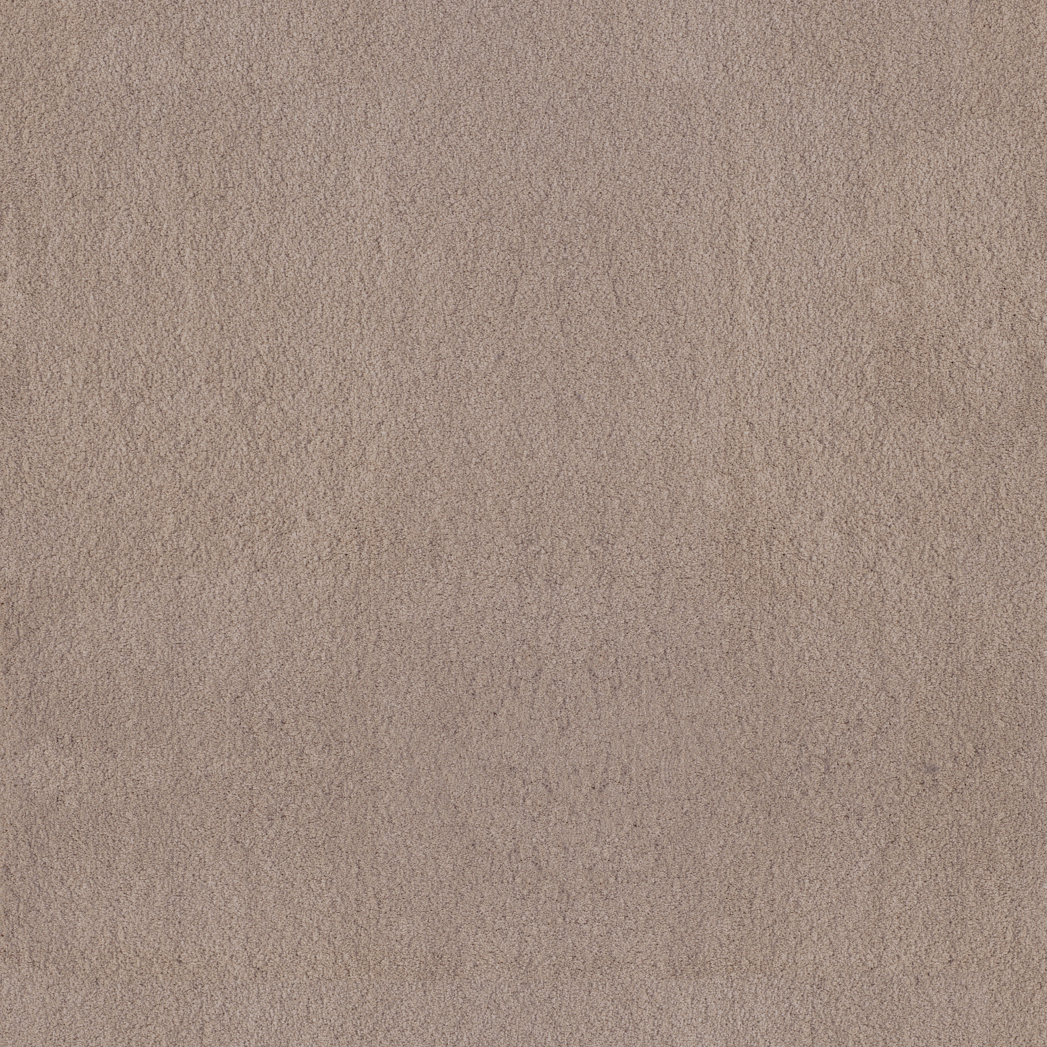 LUXE FEEL II WHITE PINE MAIN