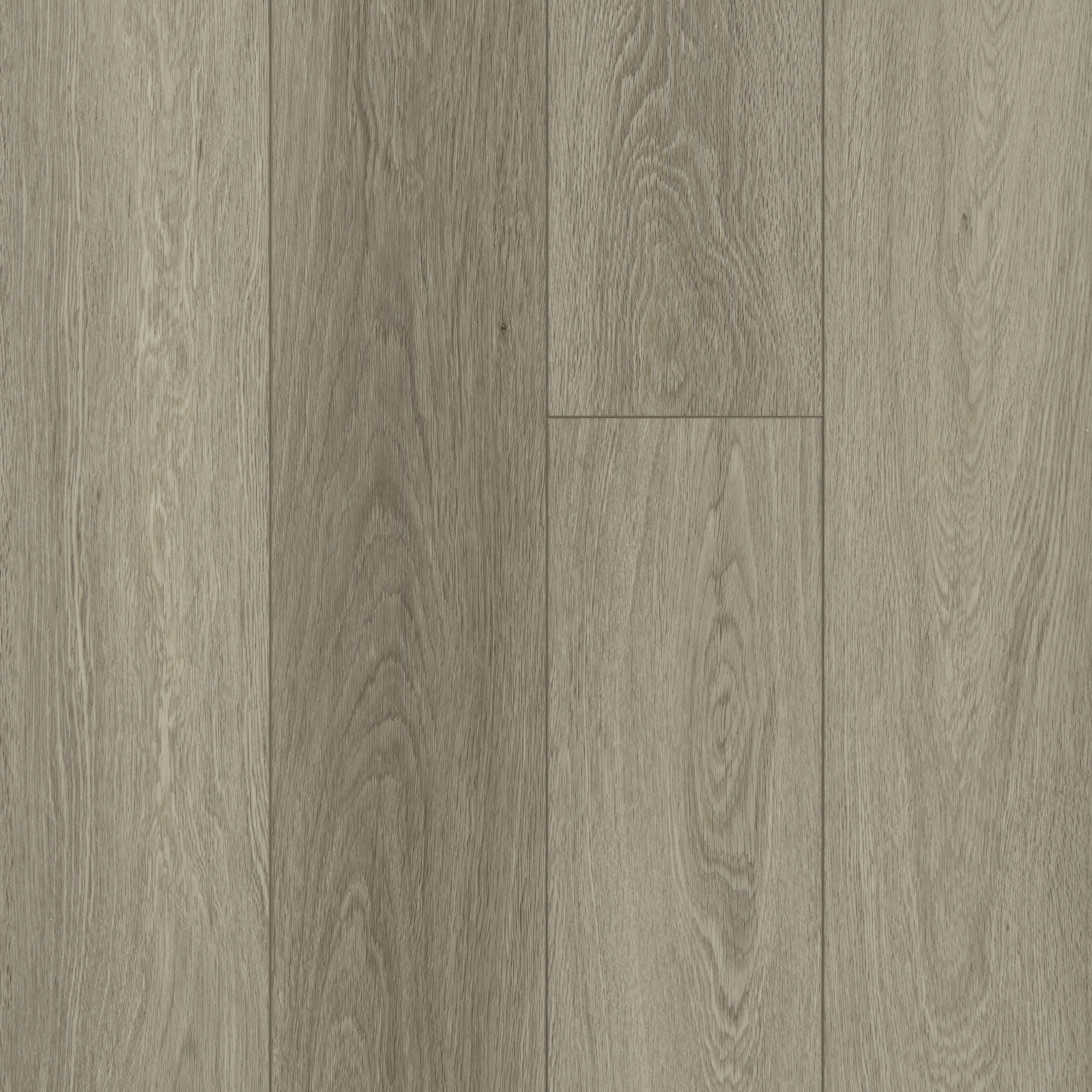 DISTINCTION PLUS EXECUTIVE OAK MAIN