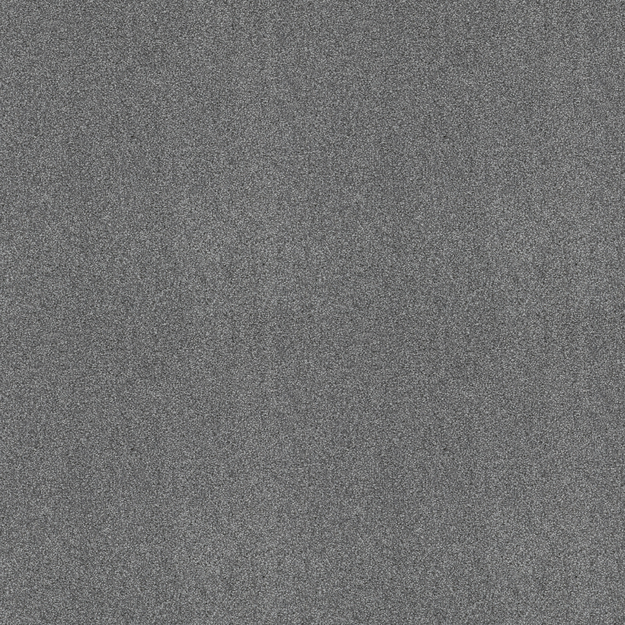 ALWAYS READY I HARBOR MAIN