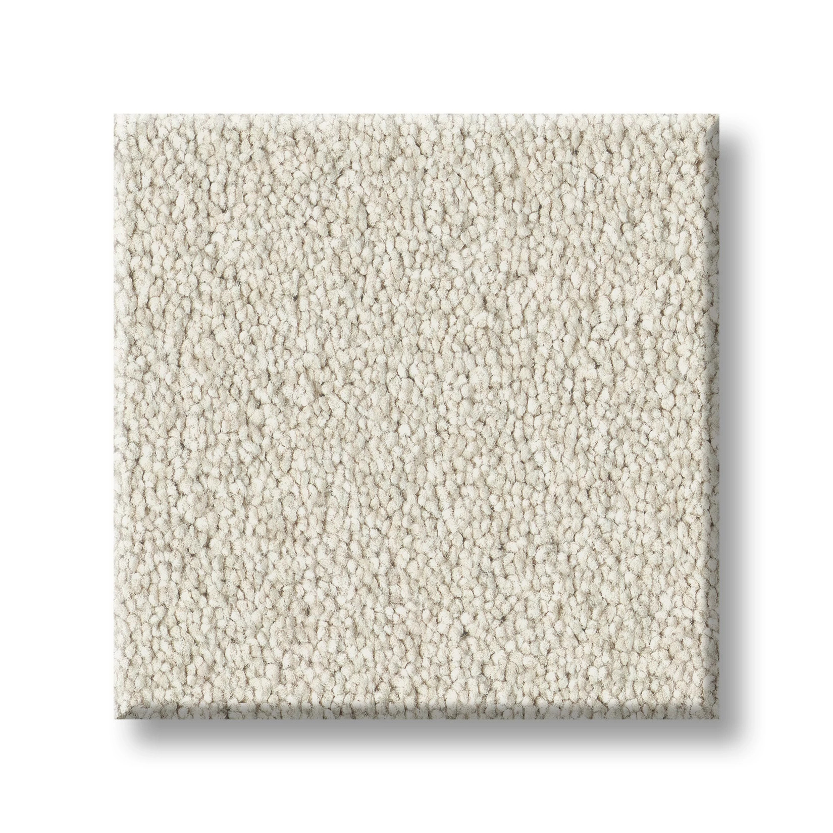 CLASSIC TONE COOL WINTER SWATCH