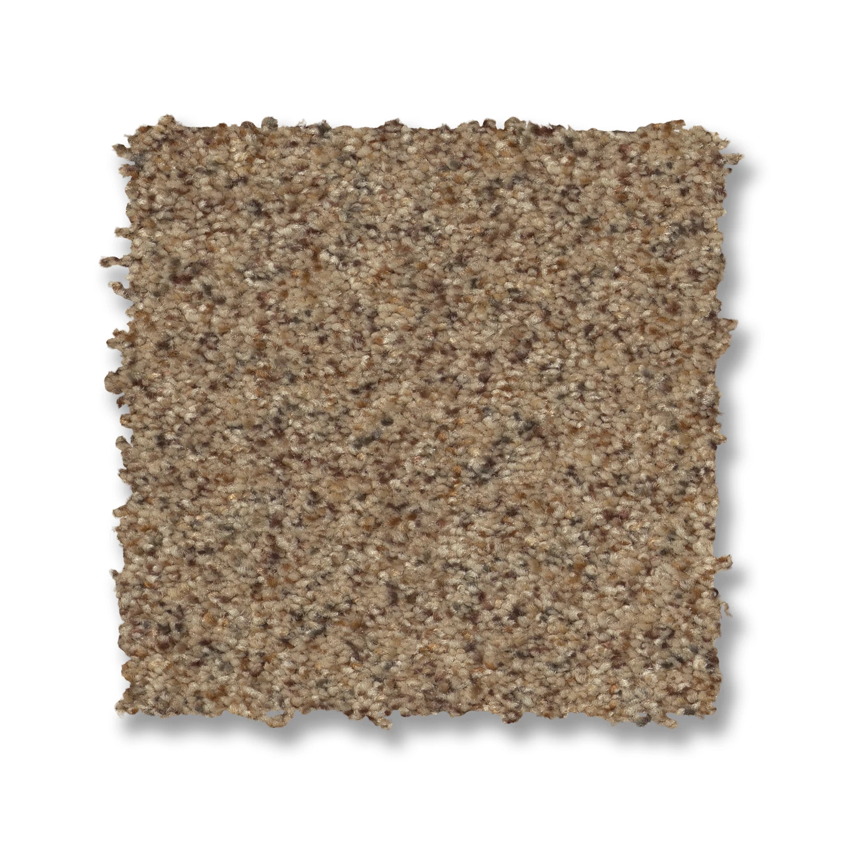 CANYON LAKE TERRAZZO SWATCH