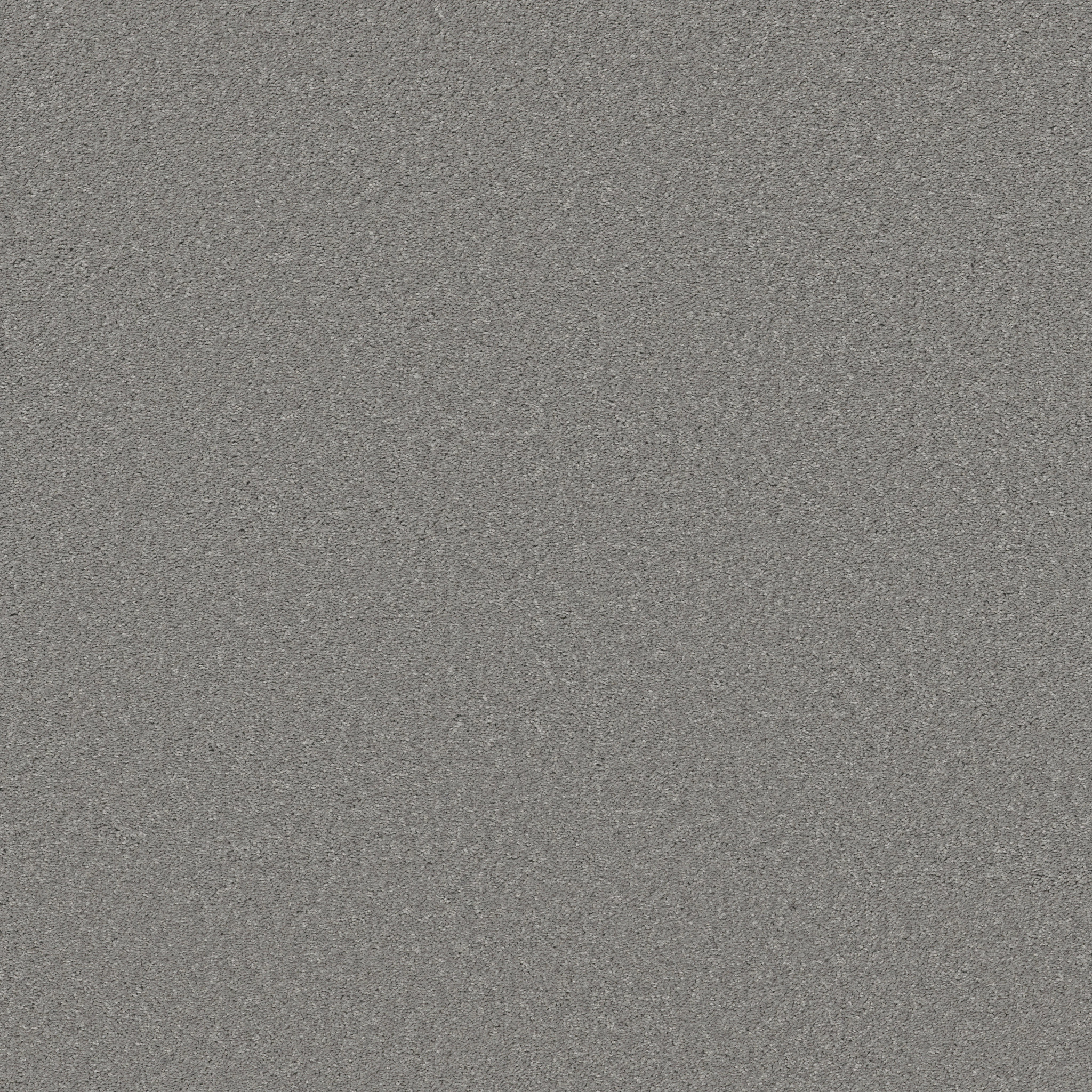 WELL MADE NICKEL MAIN