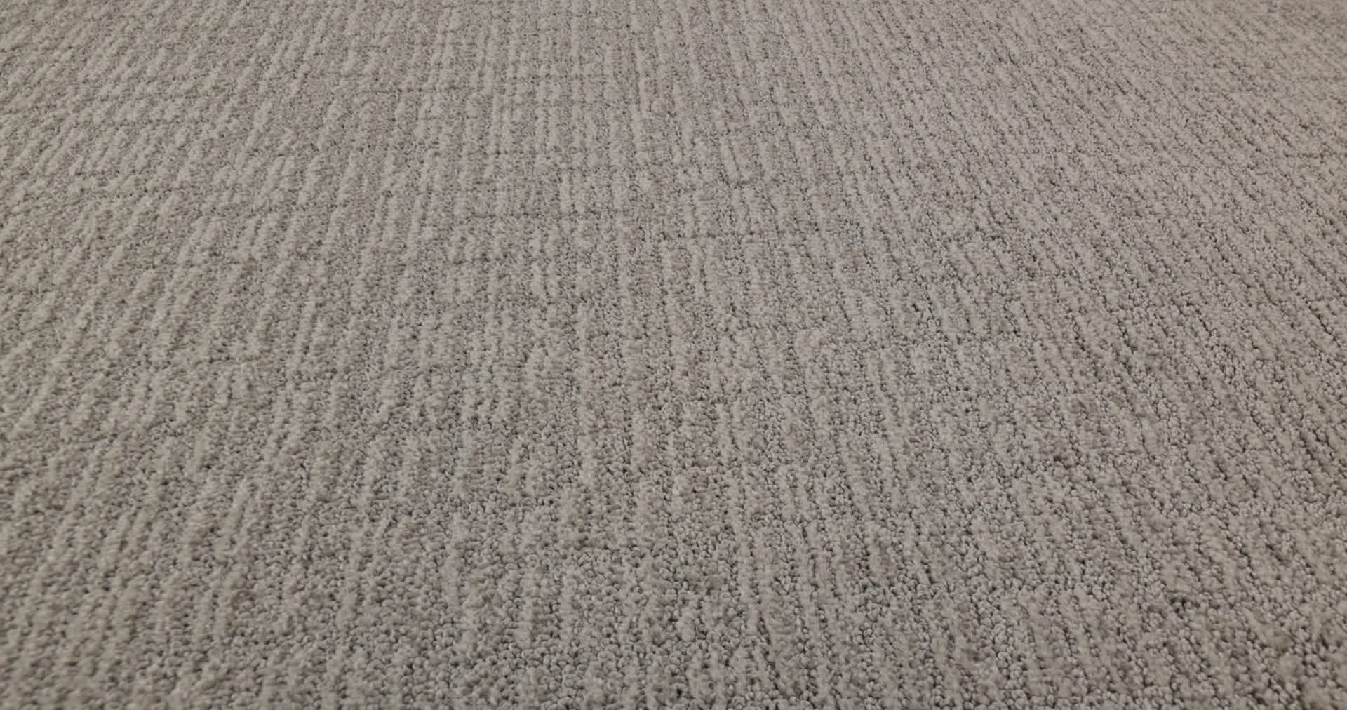 WANDERER MOONSHINE 360PROD