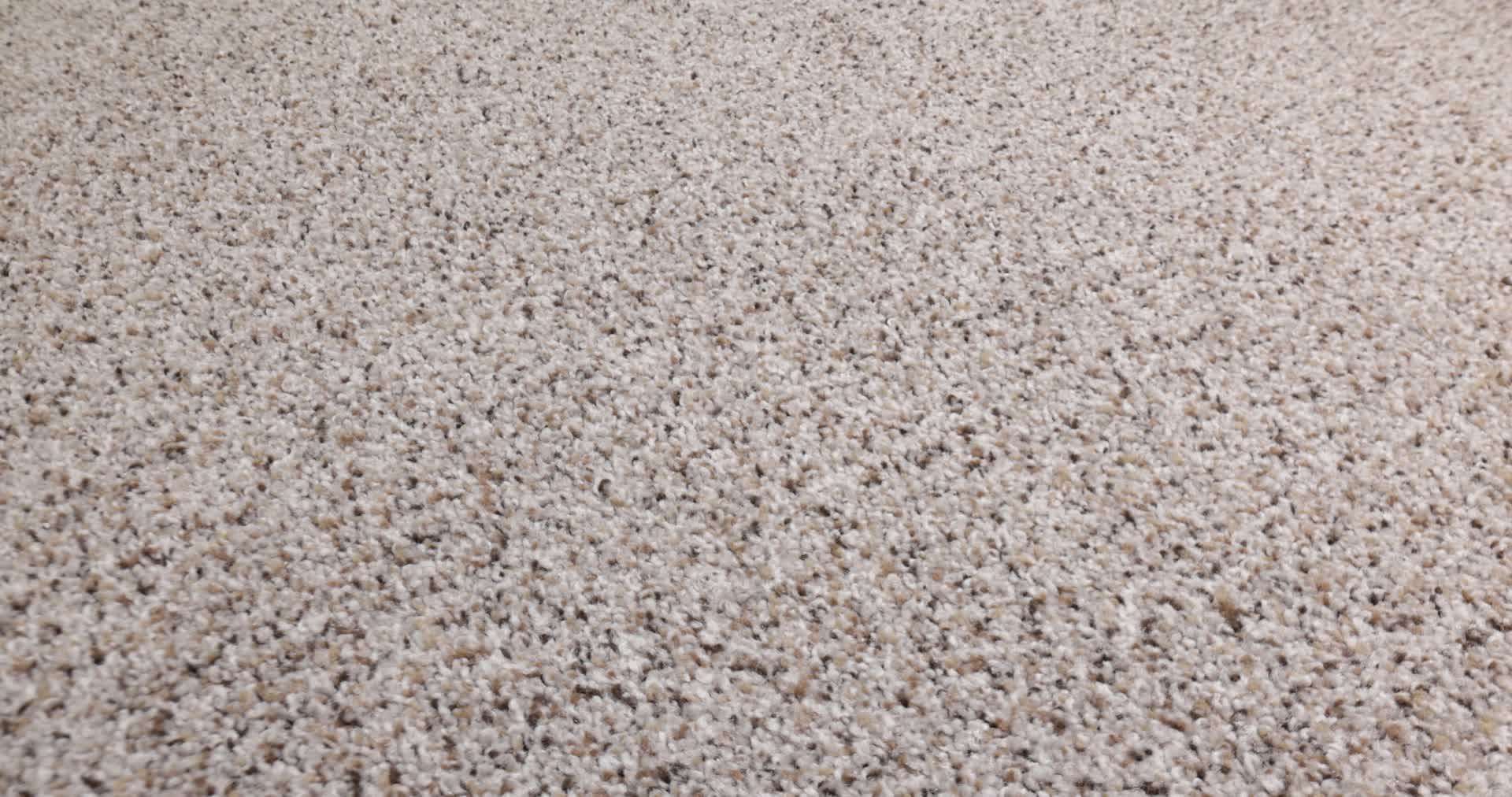 STRANDS OF NATURE III PENCIL SKETCH 360PROD