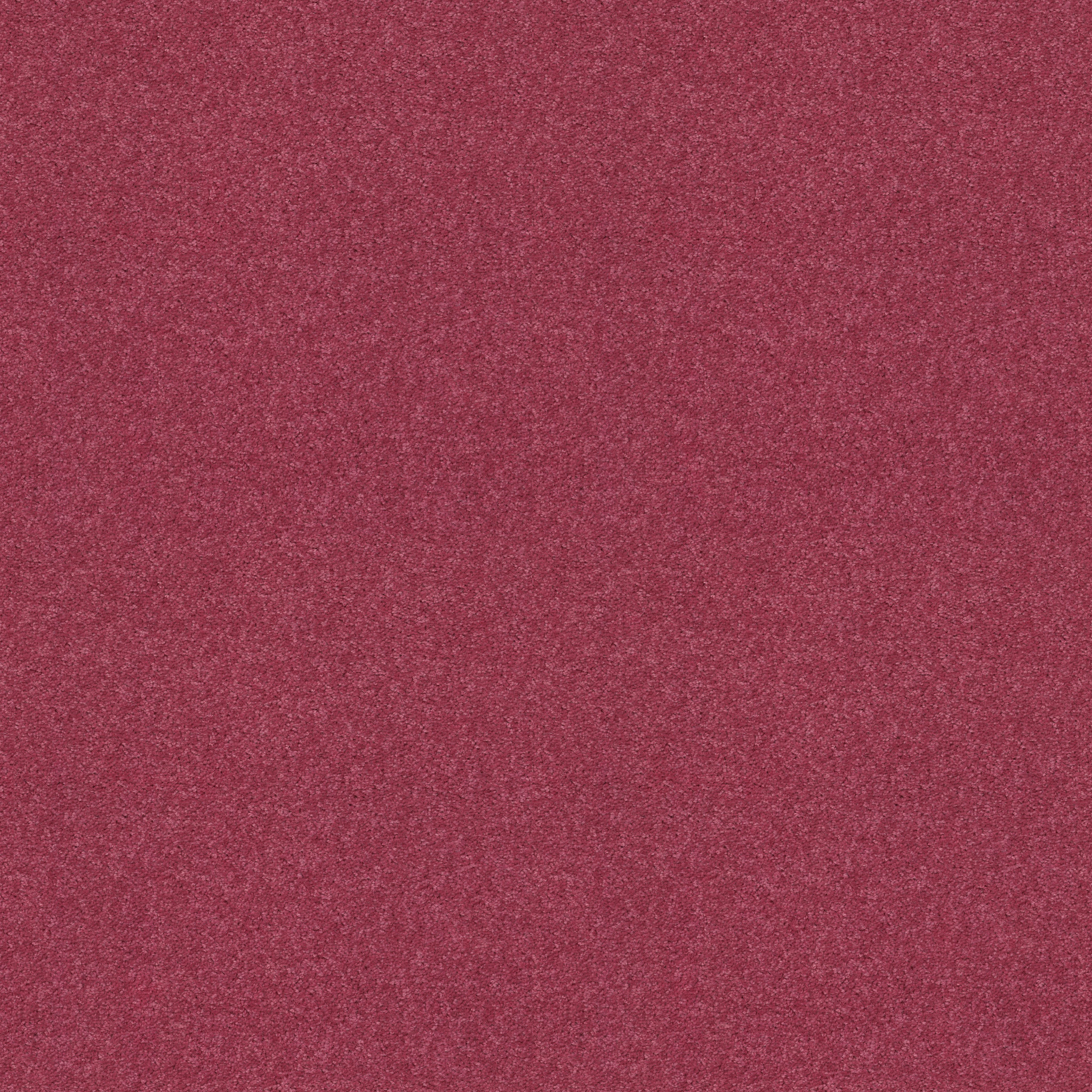 DYERSBURG CLASSIC 12' SASSY PINK MAIN