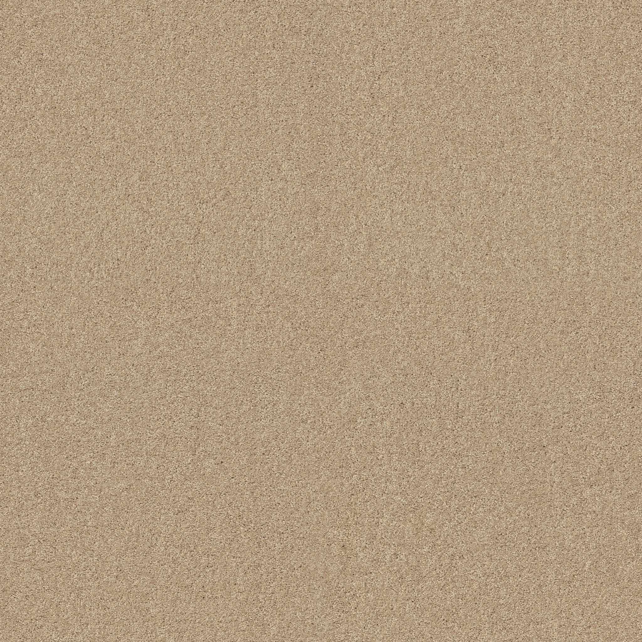 LUXURY BAY I MESA MAIN