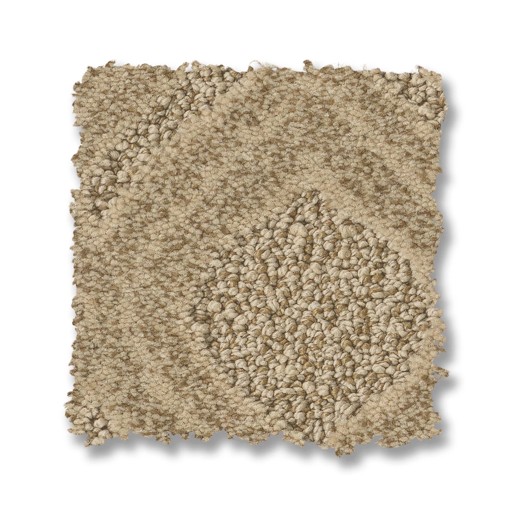 EXPRESSIVE BEACH GRASS SWATCH