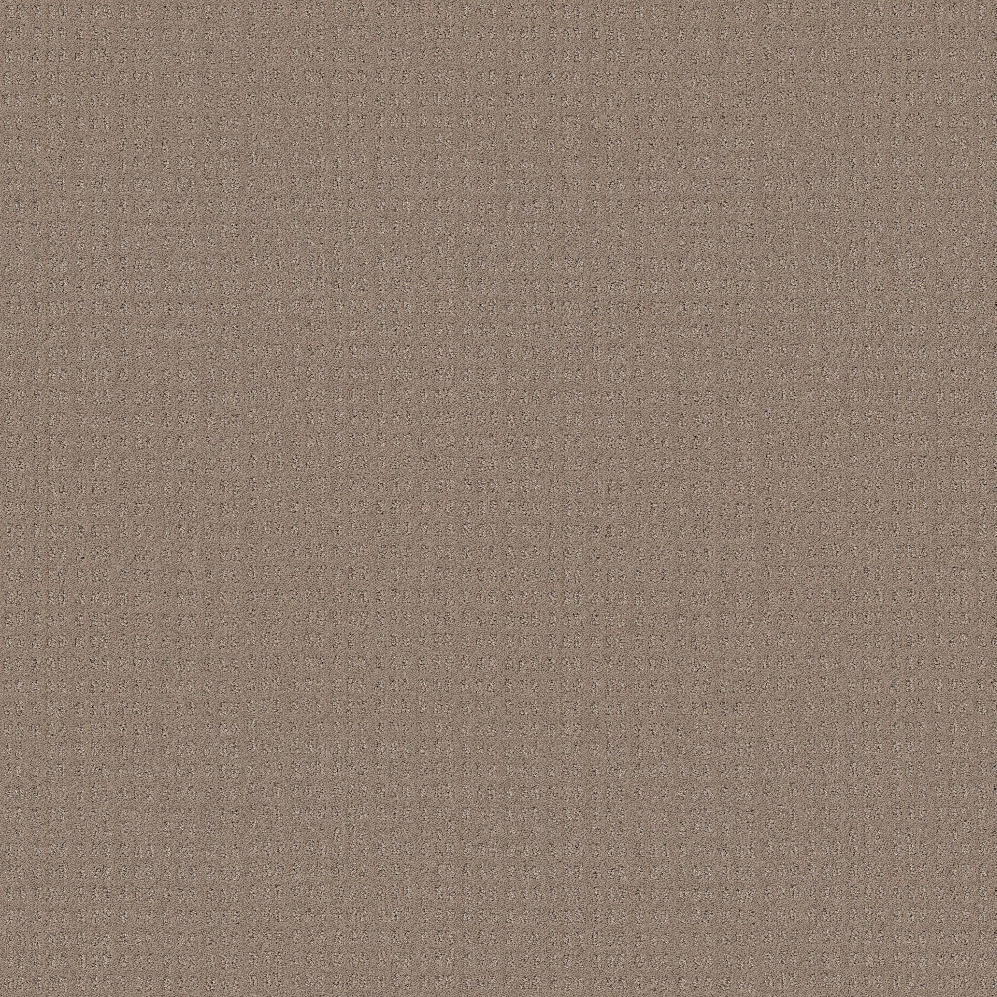 ESSENTIAL NOW DESERT VIEW MAIN