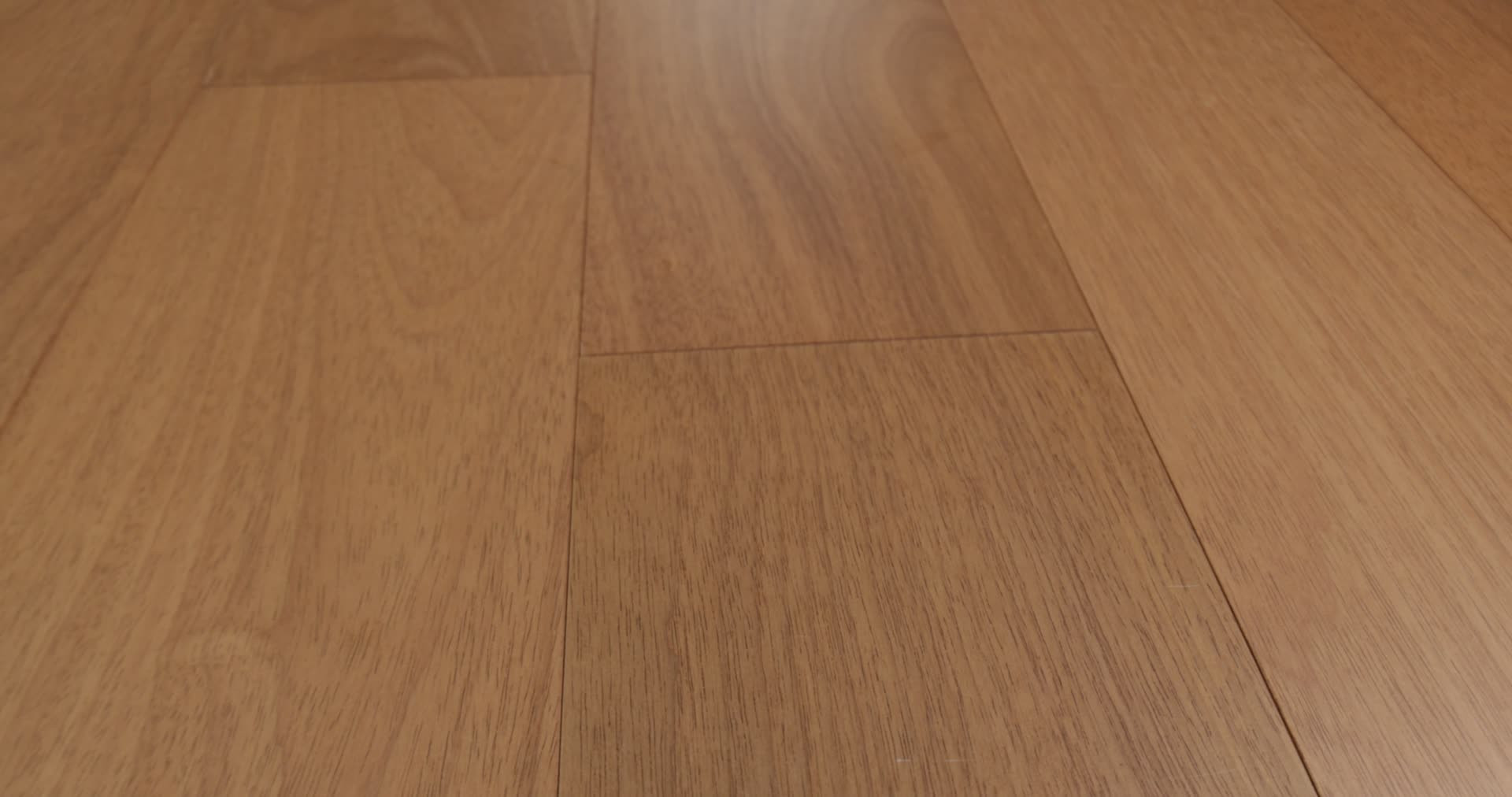 BRASILIA SAMBA 360PROD