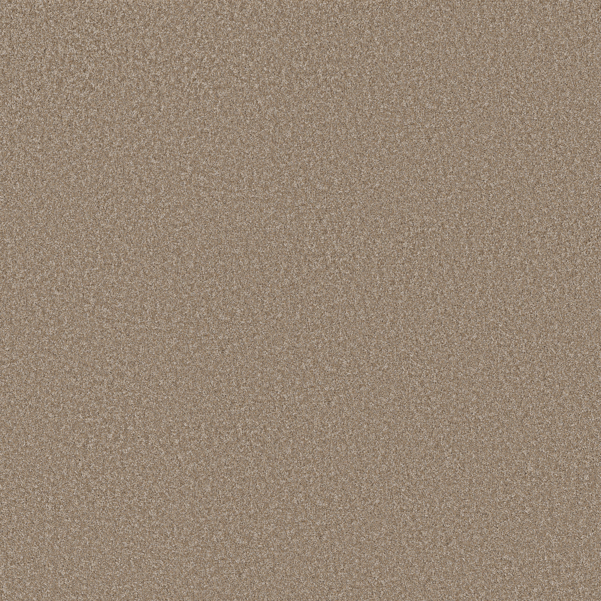 IMAGINABLE II RAW WOOD MAIN