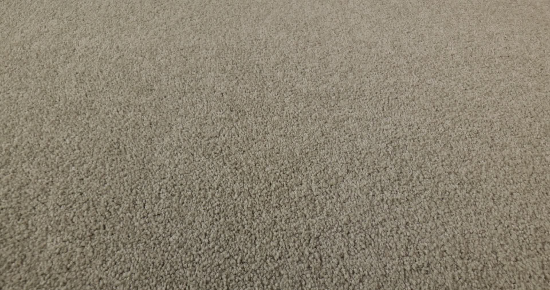 LOOK FORWARD COASTAL FOG 360PROD