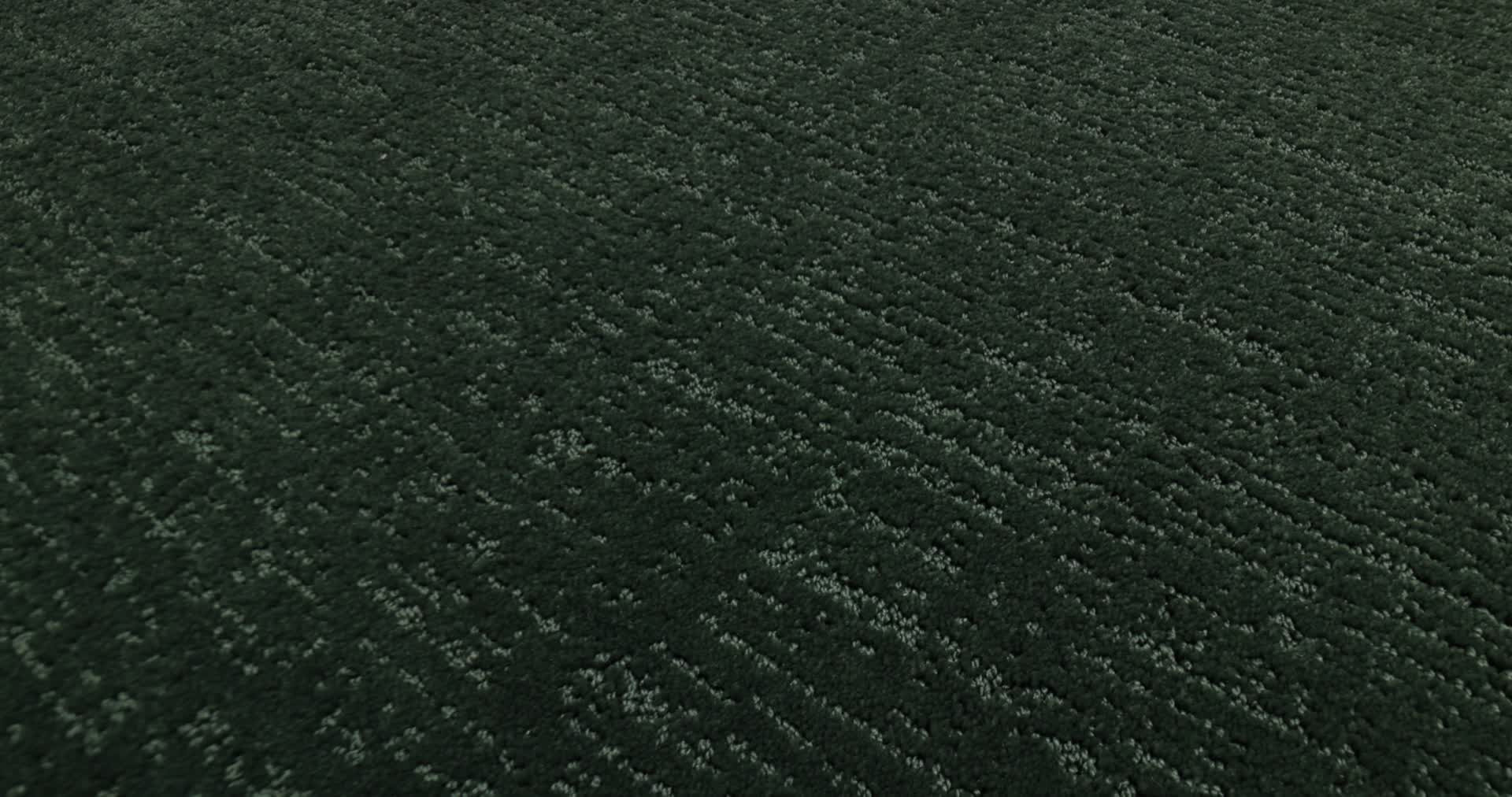 ENDLESS MEMORIES MAGNOLIA BRANCH 360PROD