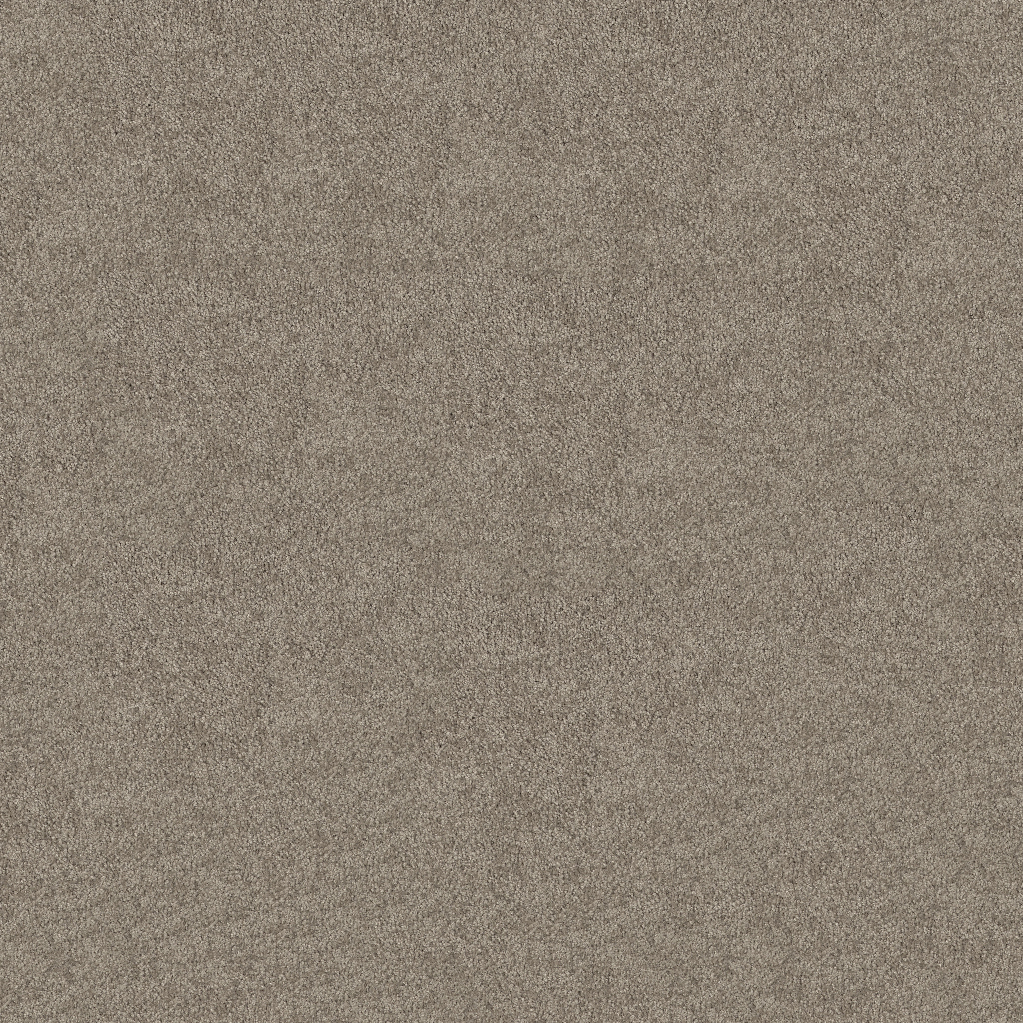 MOMENT OF TRUTH MOCHA CREAM MAIN