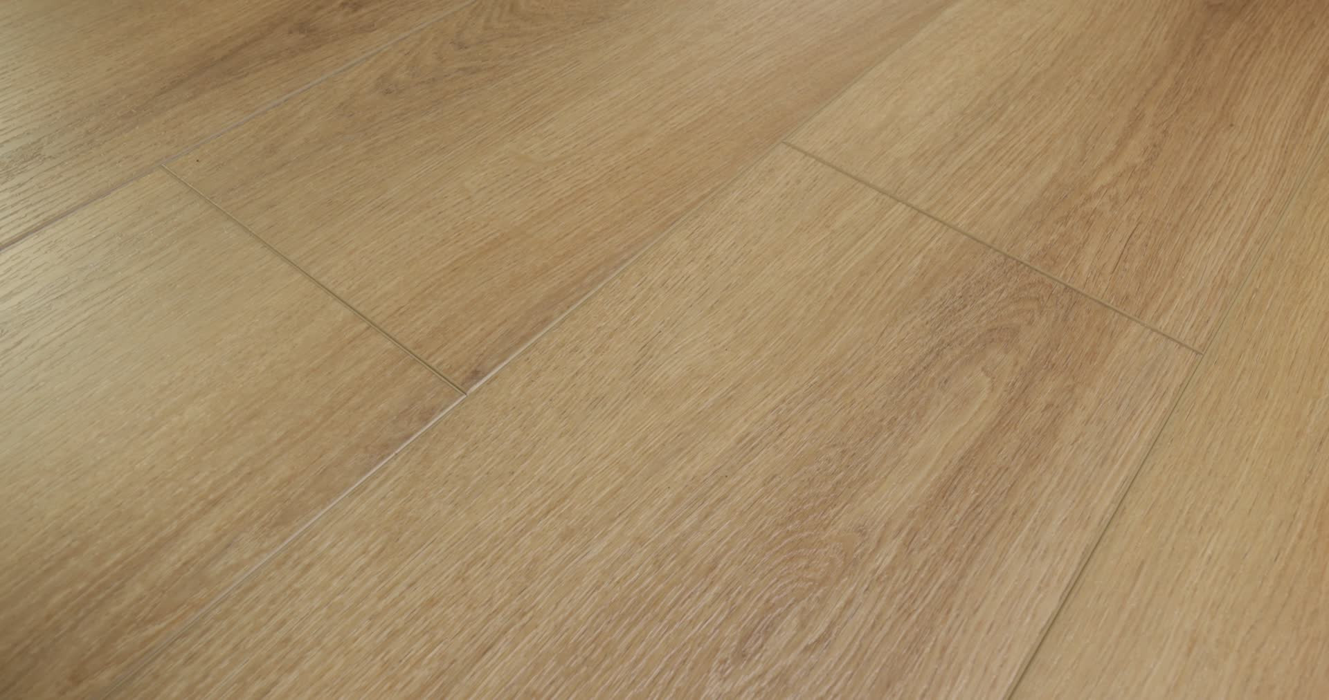 Dwell WARM HONEY 360PROD