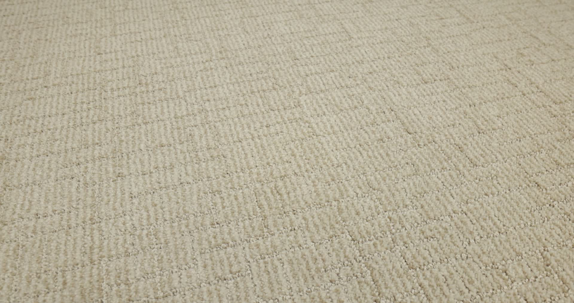 WAYFARER SUNLIGHT 360PROD